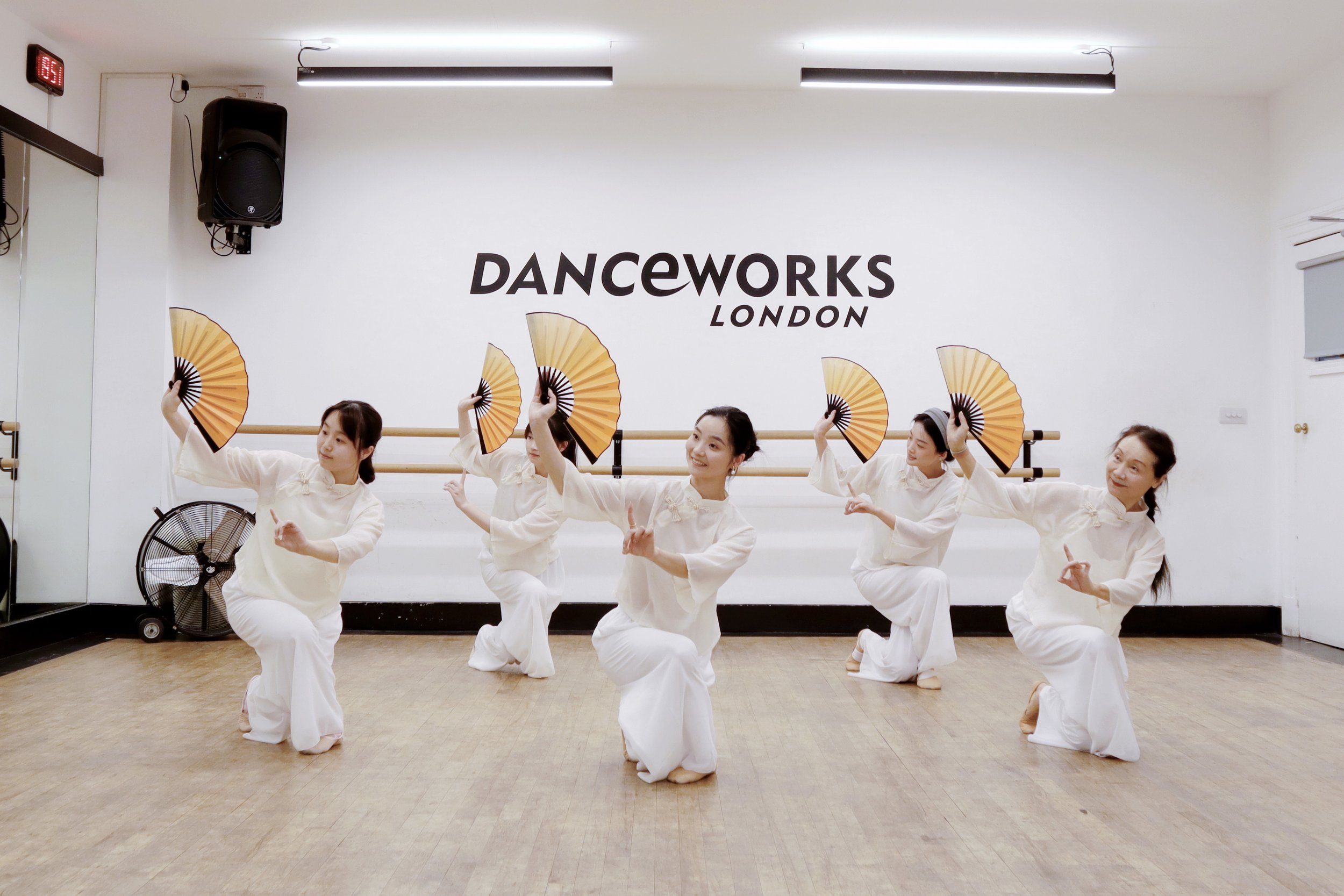 Adult - Chinese Classical Dance 古典舞身韵