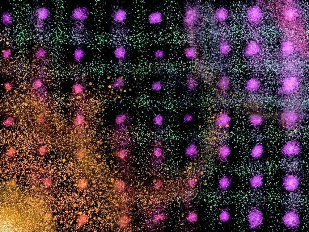 Project (20250318112948)~3.jpg