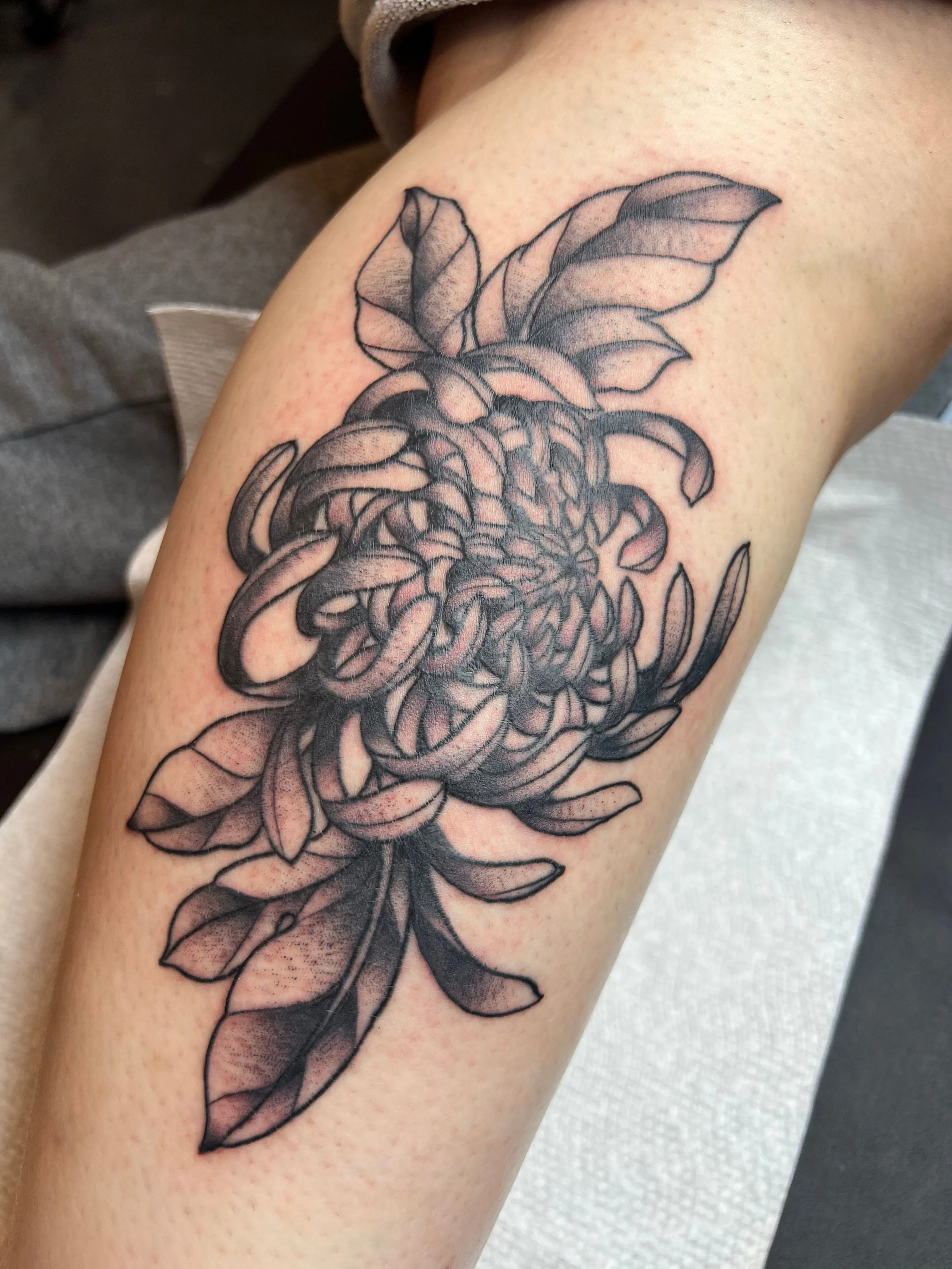 Untitled design (10).jpg