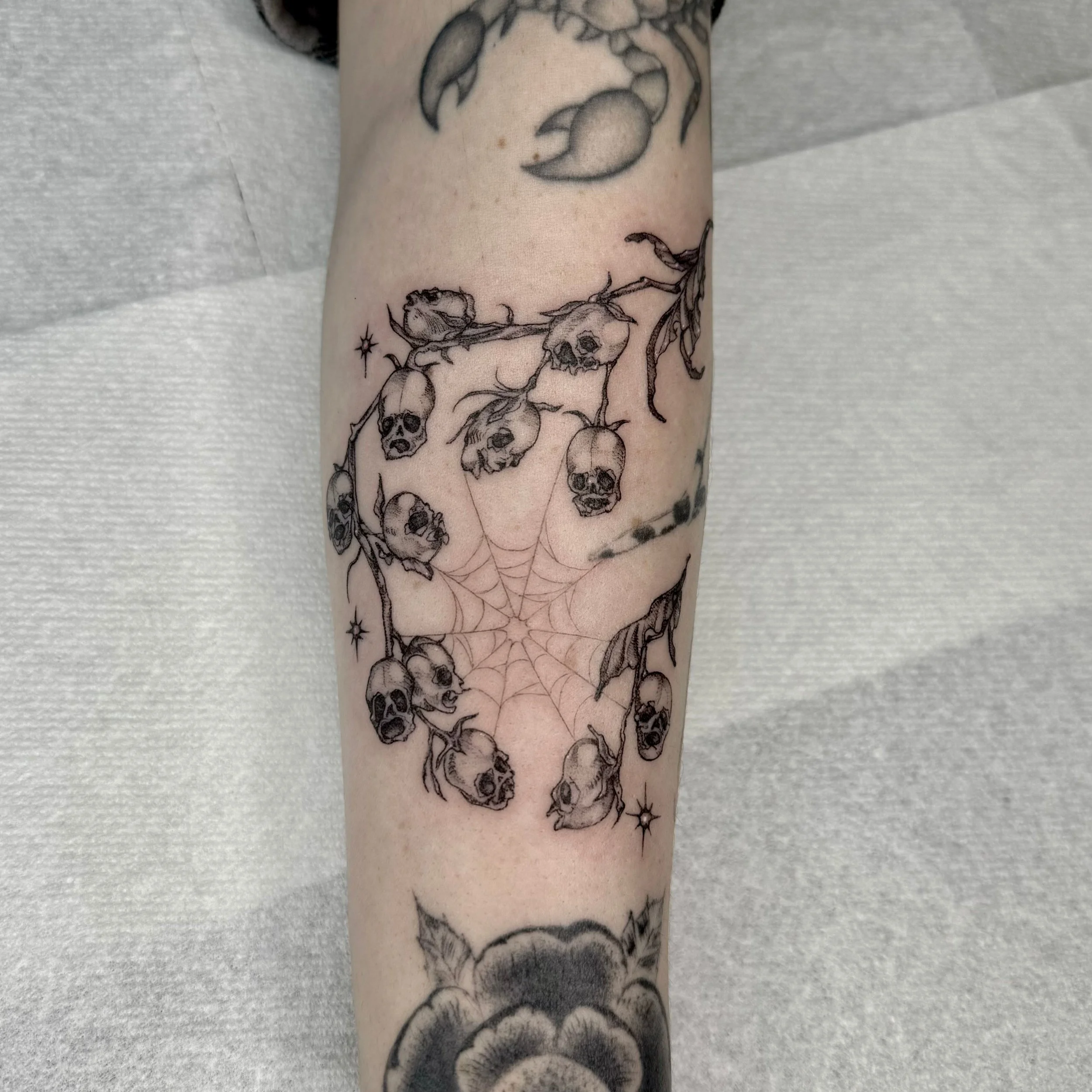 Untitled design (8).jpg