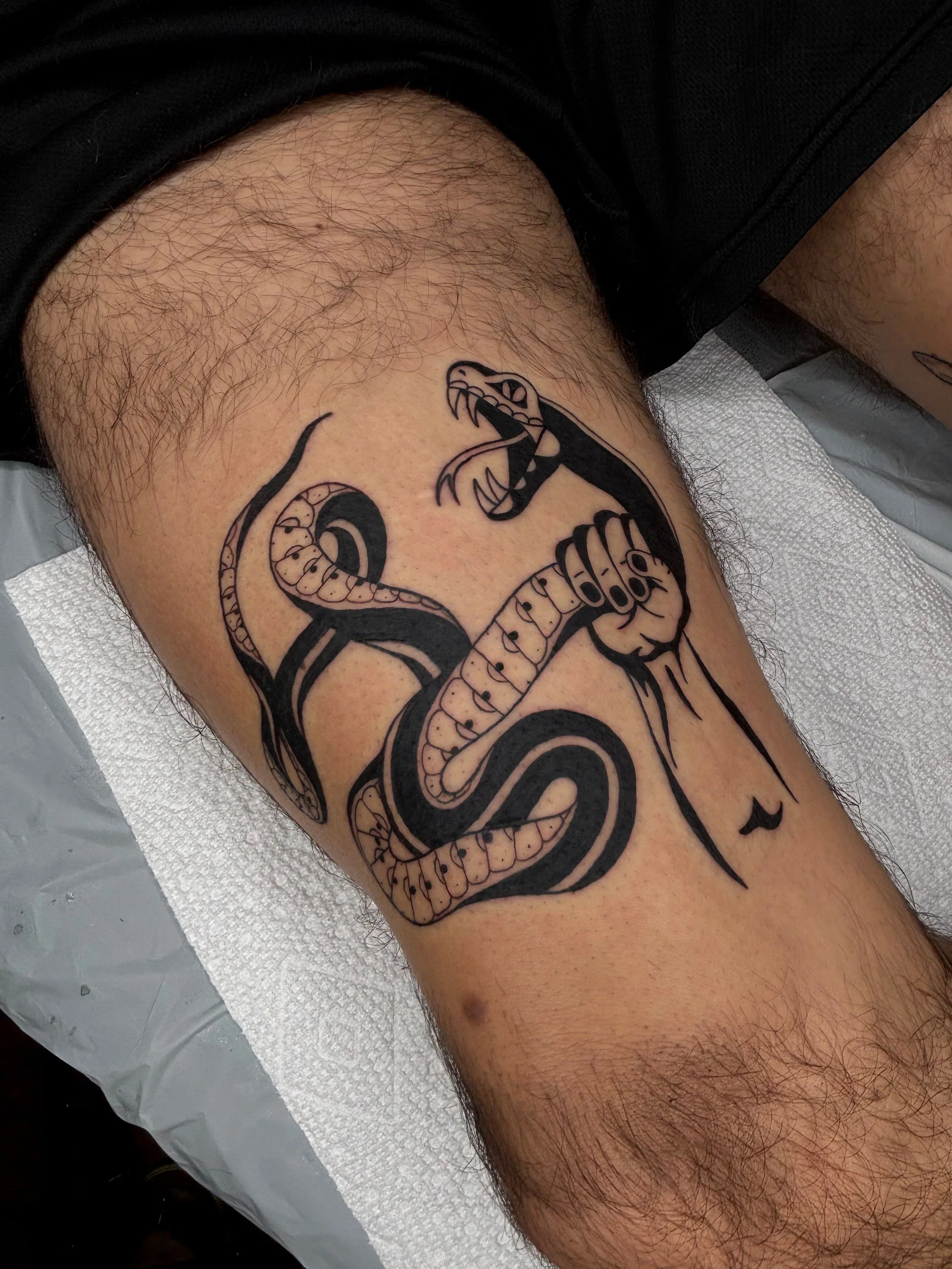 Untitled design (7).jpg