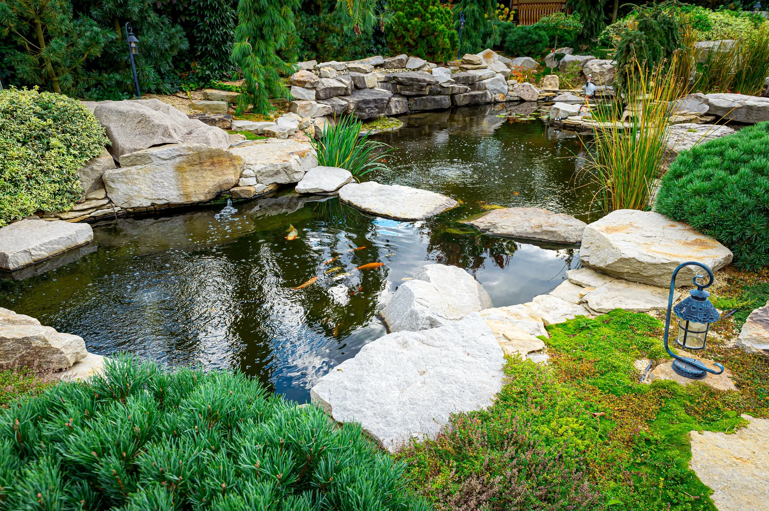A landscaped backyard pond with koi fish, surrounded by rocks, green bushes, and plants, with a small lantern-style light in the foreground.