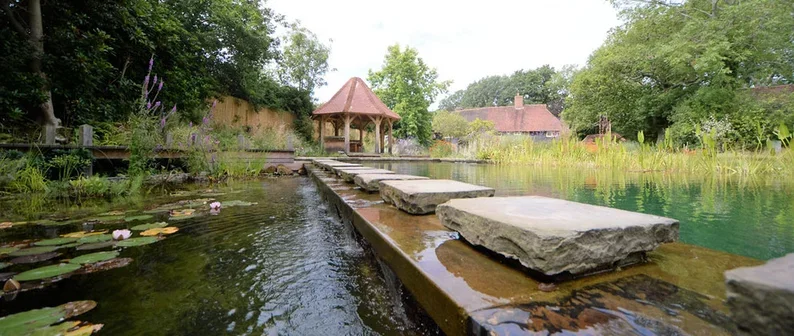 A tranquil natural swimming pond with floating lily pads and purple flowers, a stone pathway crossing the water, and a gazebo behind the path surrounded by greenery.