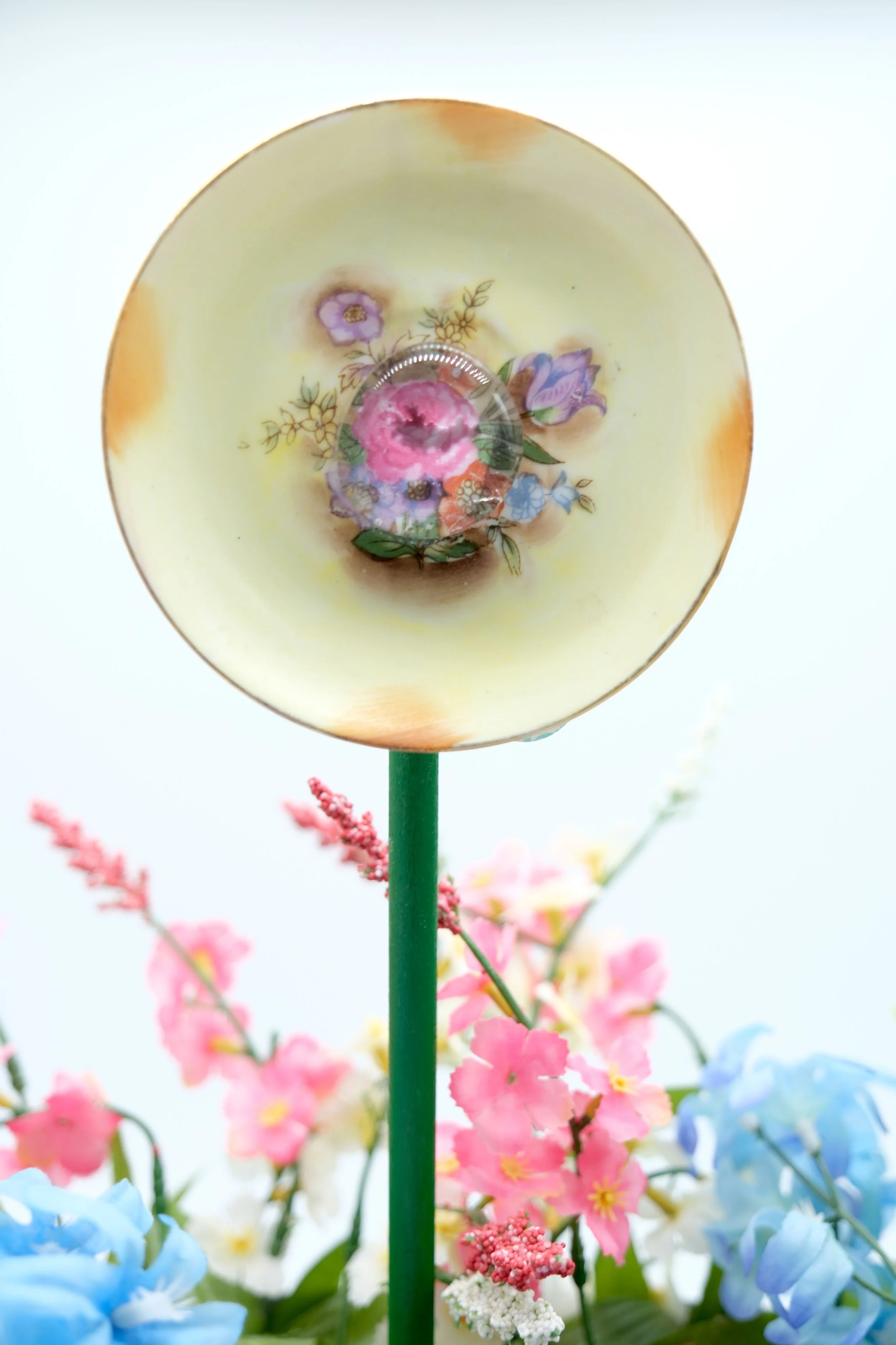 Mini Plateflower1.JPG