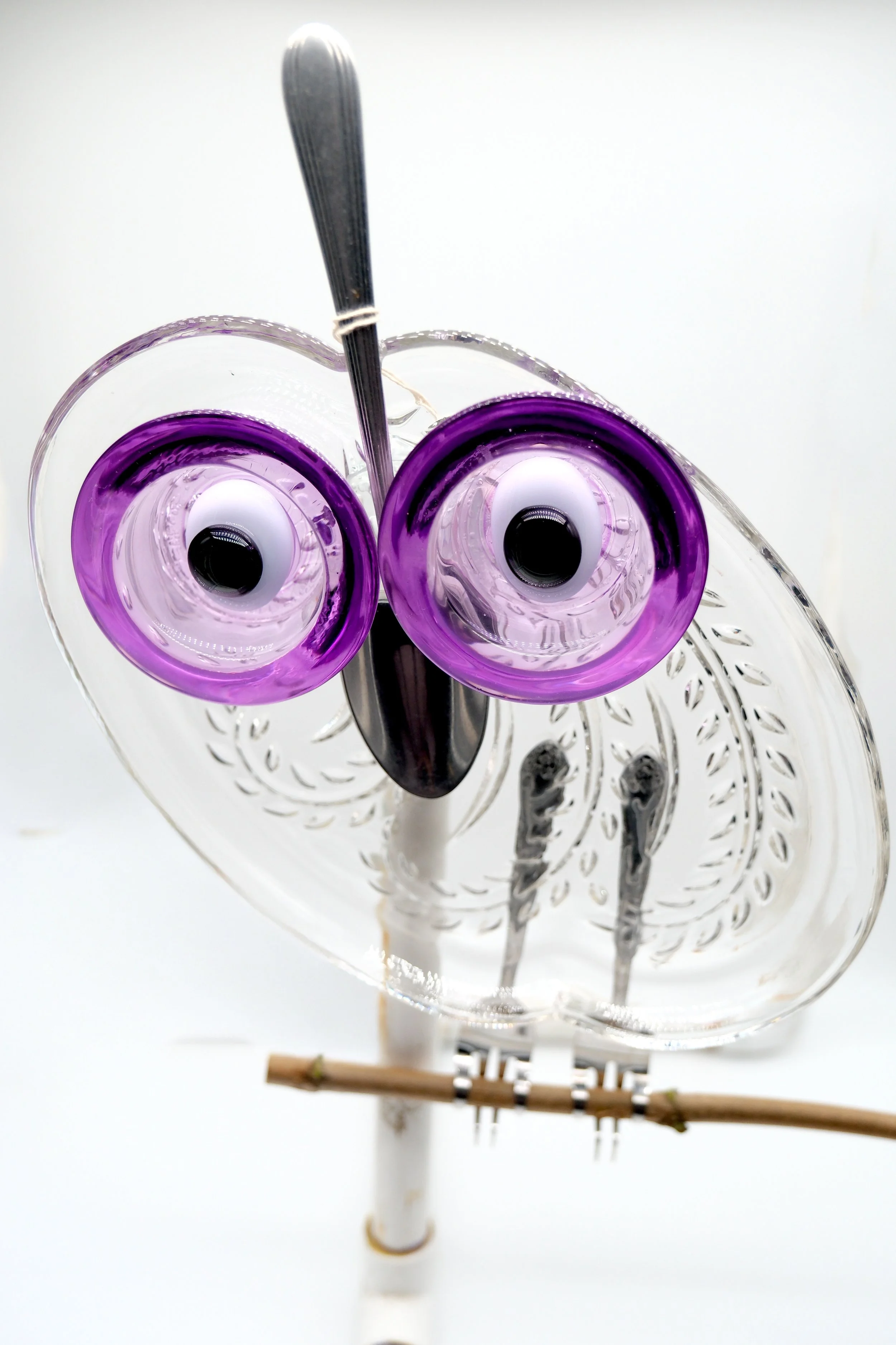 Purple Owl