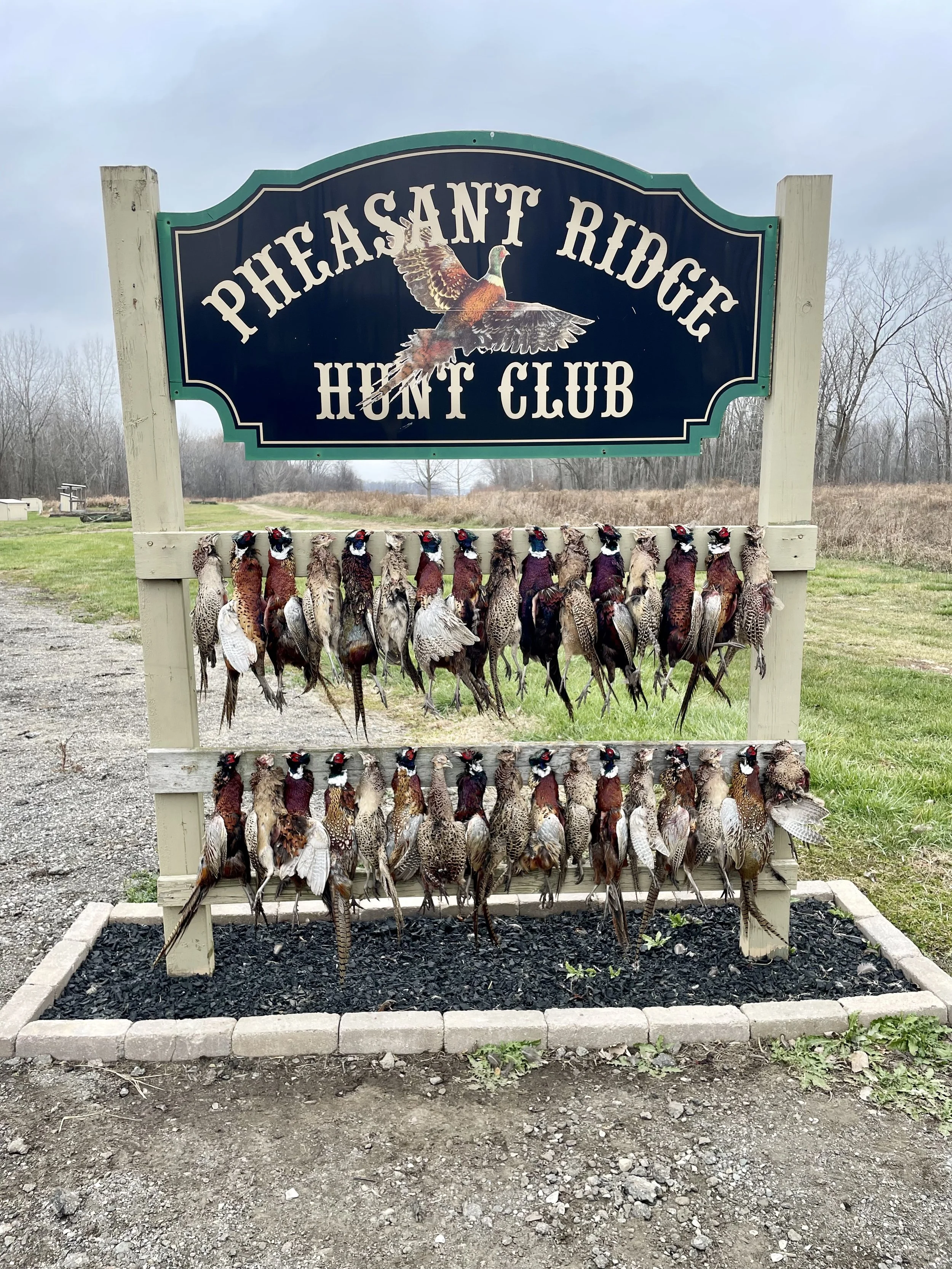 Sign for Pheasant Ridge Hunt Club with rows of pheasants hanging on a wooden frame.