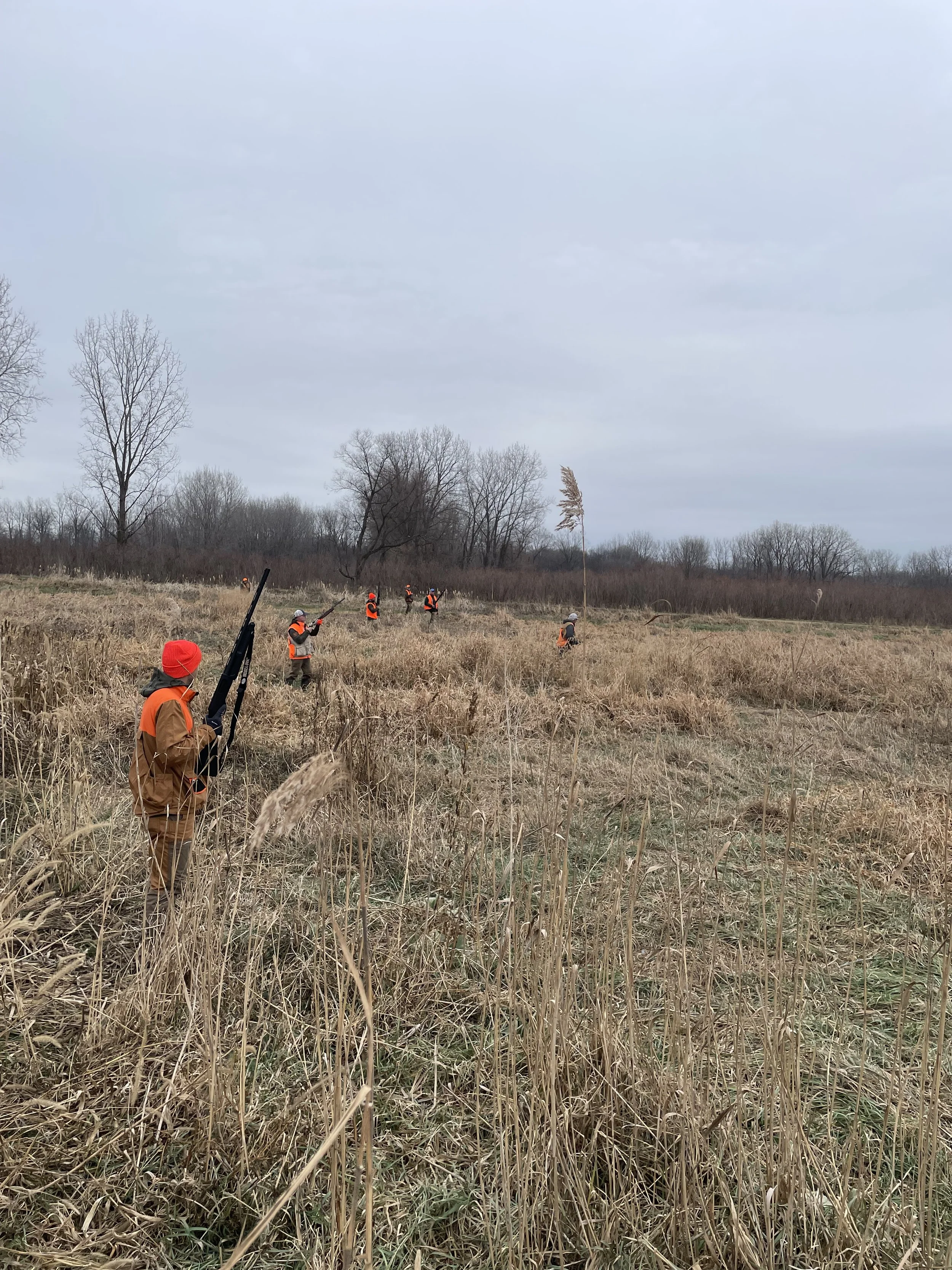 People wearing orange and brown jackets and holding shotguns hunting in a dry, grassy field under a cloudy sky.