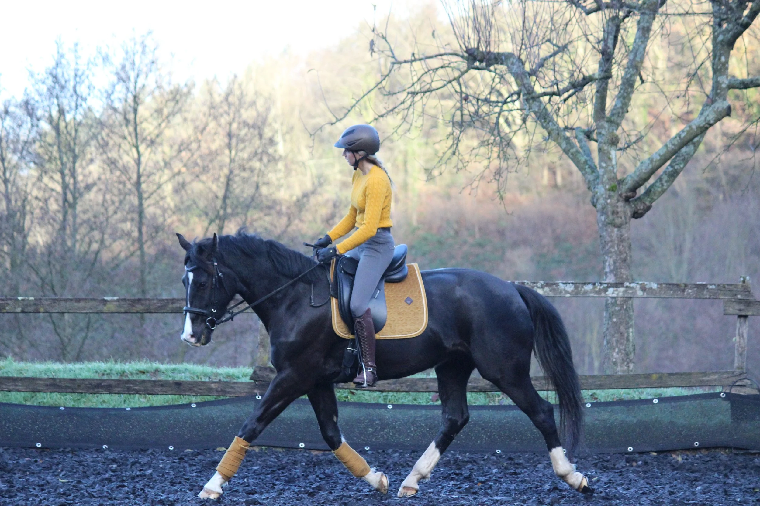 Foto 25.12.22, 11 48 34.jpg