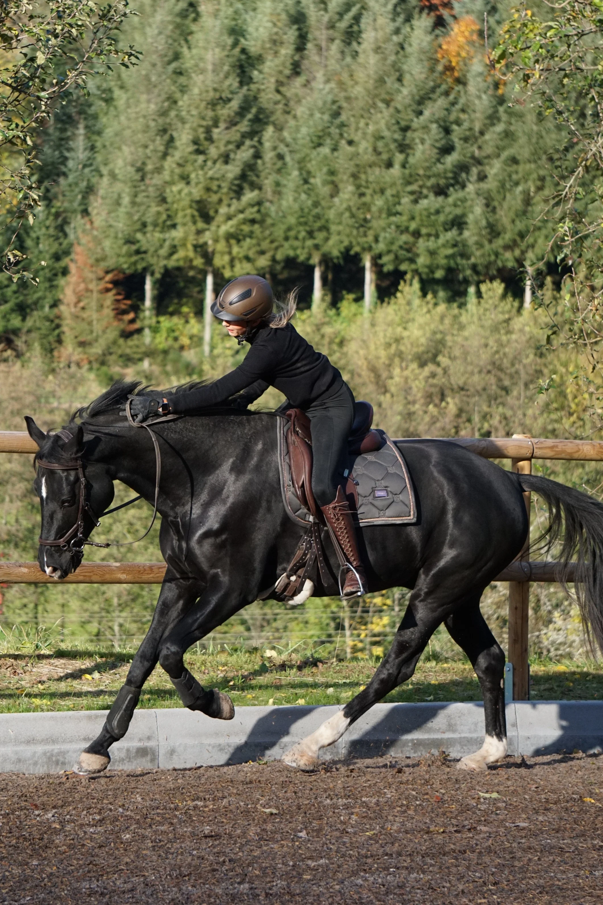 Hannah Wenzel beim Dressurtraining mit Danzini.