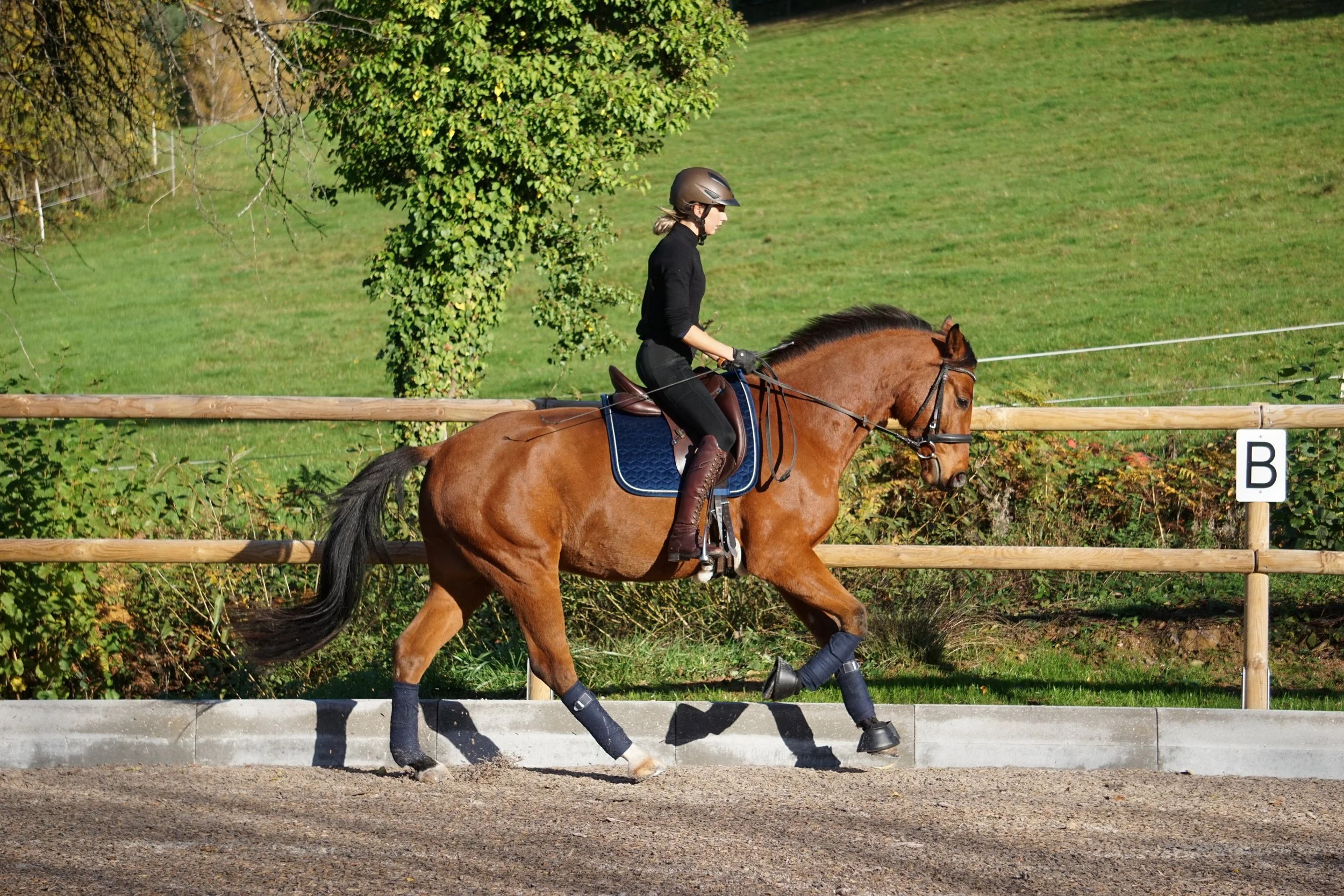 Foto 10.11.23, 16 15 07.jpg