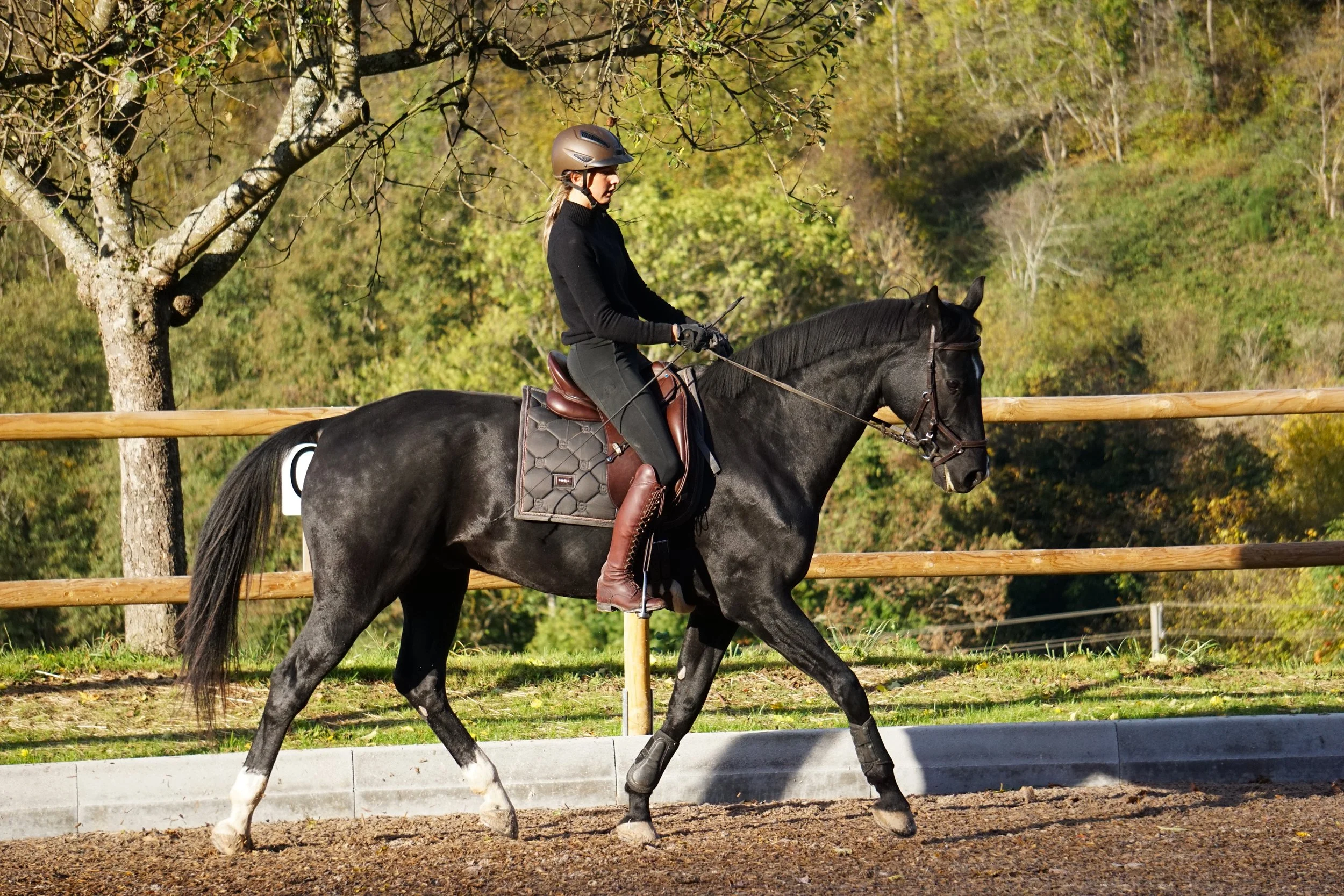 Reiten nach klassischen Maßstäben - feine Hilfengebung. 