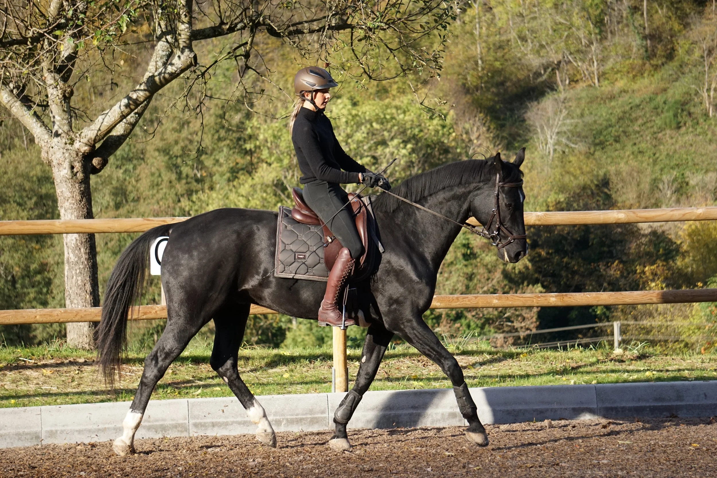 Foto 10.11.23, 16 49 57.jpg