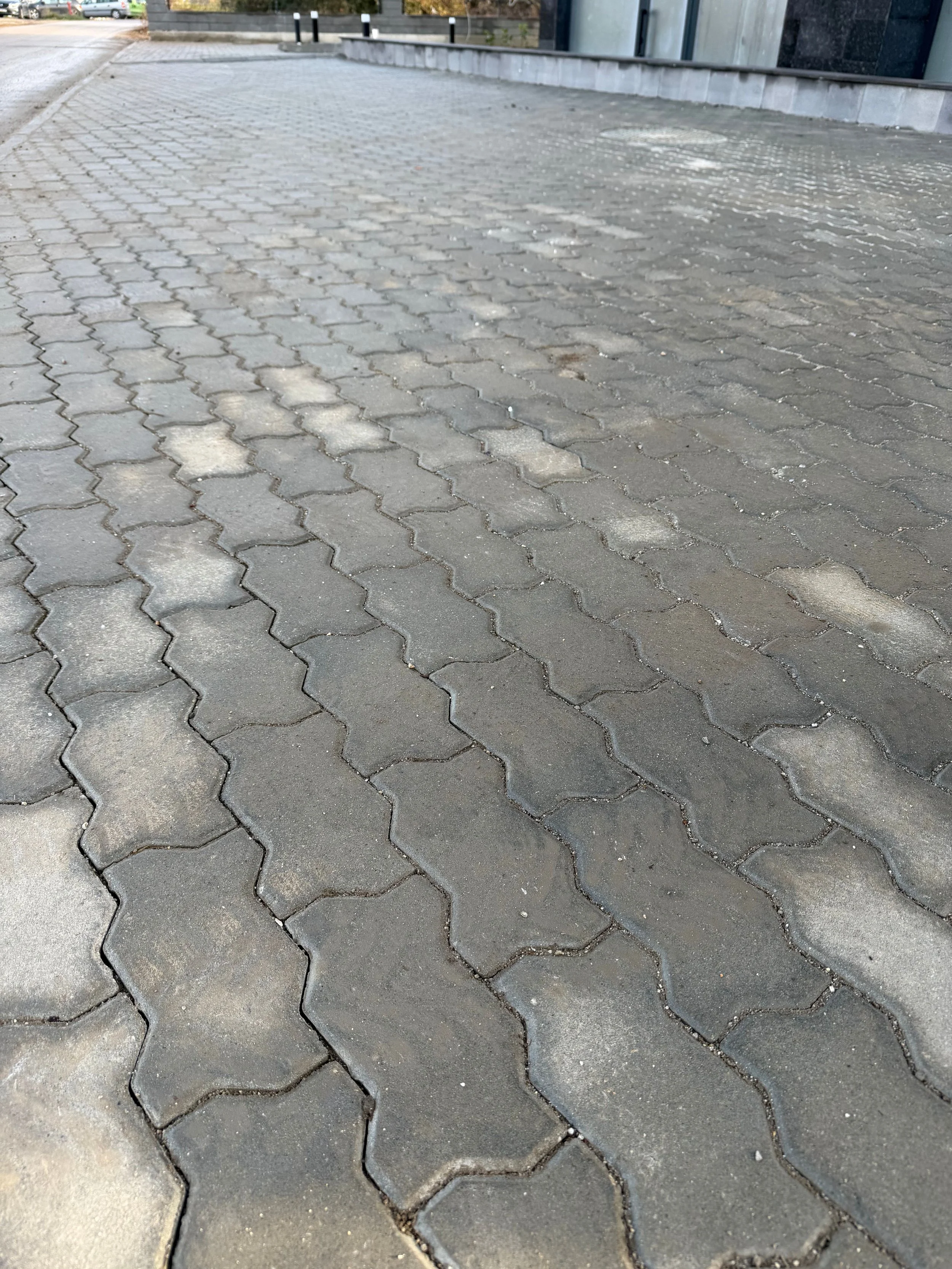 Untitled design (14).jpg