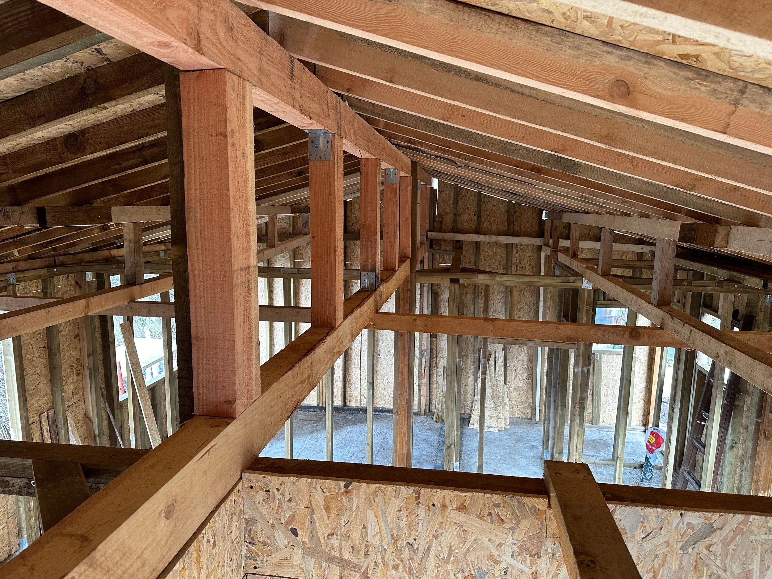 Untitled design (24).jpg