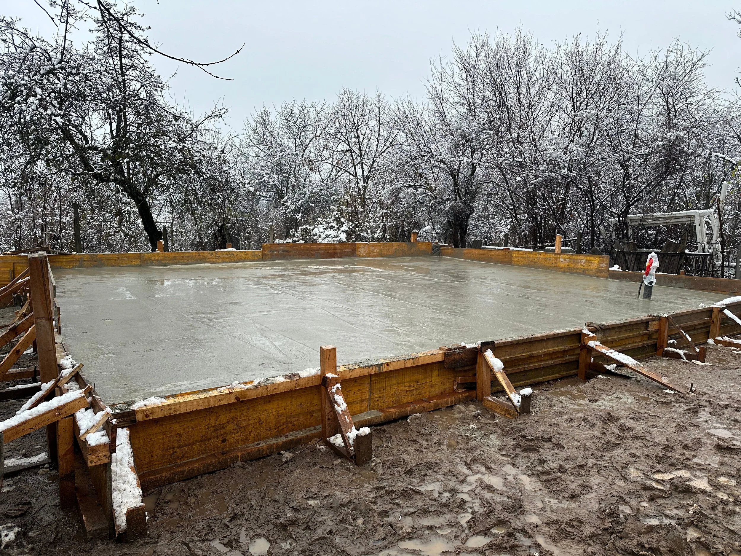 Untitled design (7).jpg