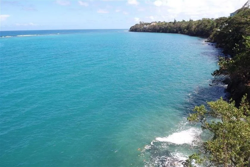 Caribbean coastline with turquoise water and lush greenery.