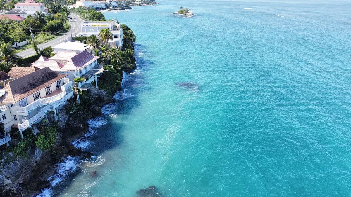 Aerial view of a coastal area with view of the Apartments and the Villa.