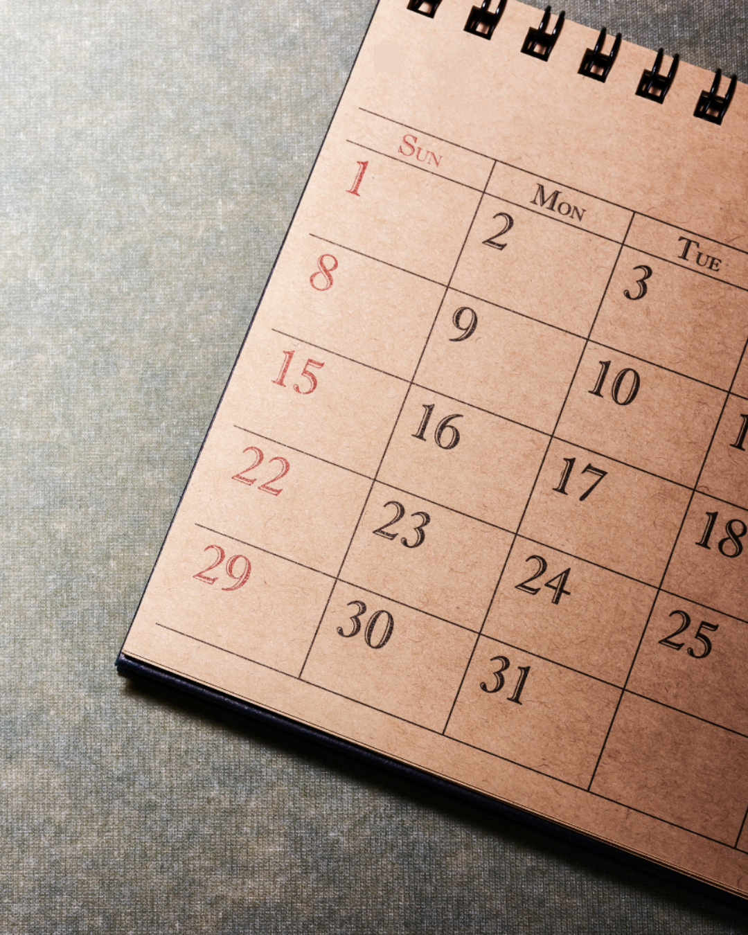 50+ Adults Calendar Review