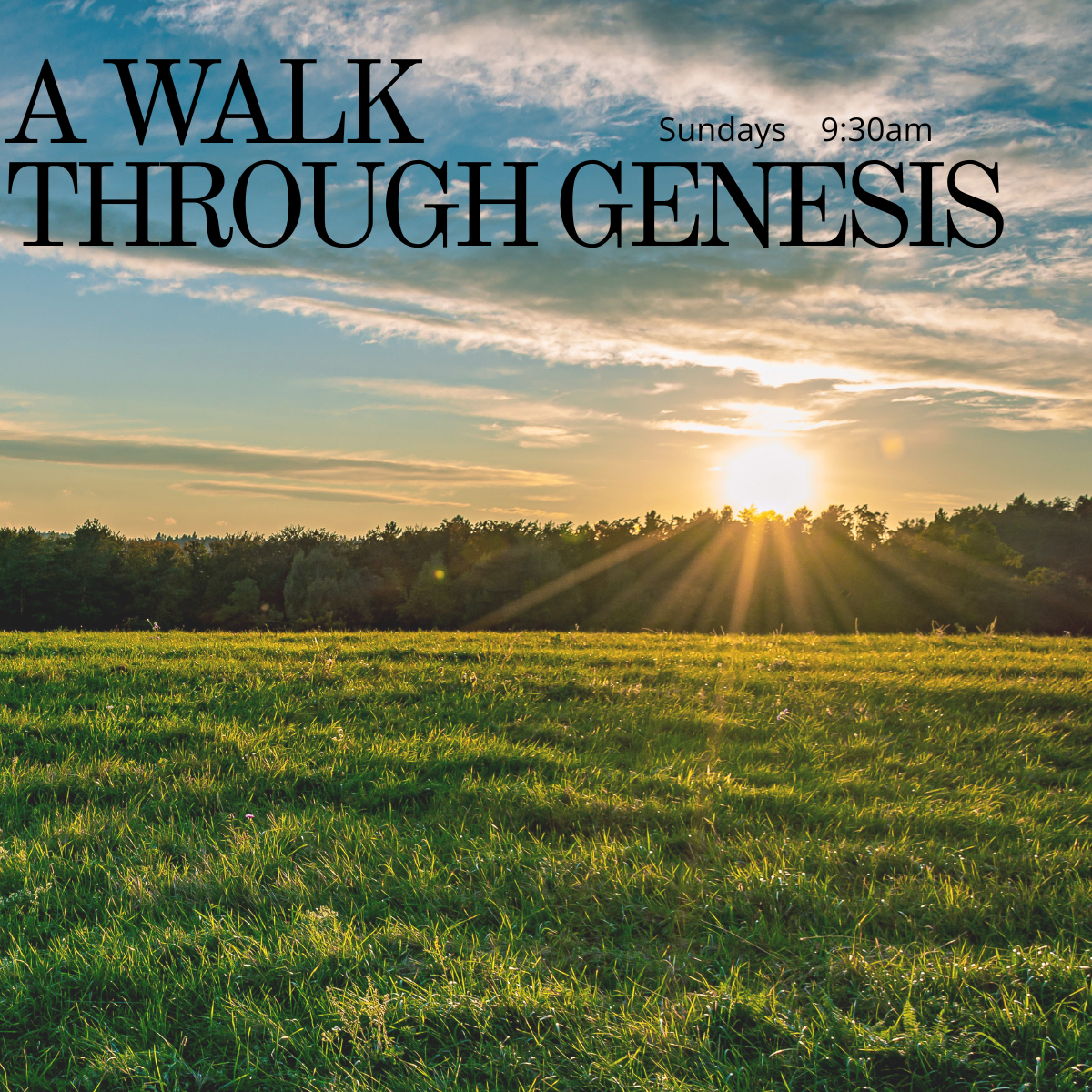 A Walk Through Genesis Sunday School Messages