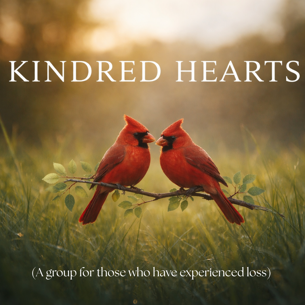 Kindred Hearts (Widows &amp; Widowers Ministry)