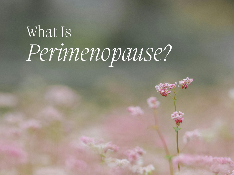 Perimenopause: What’s Happening to Your Body?