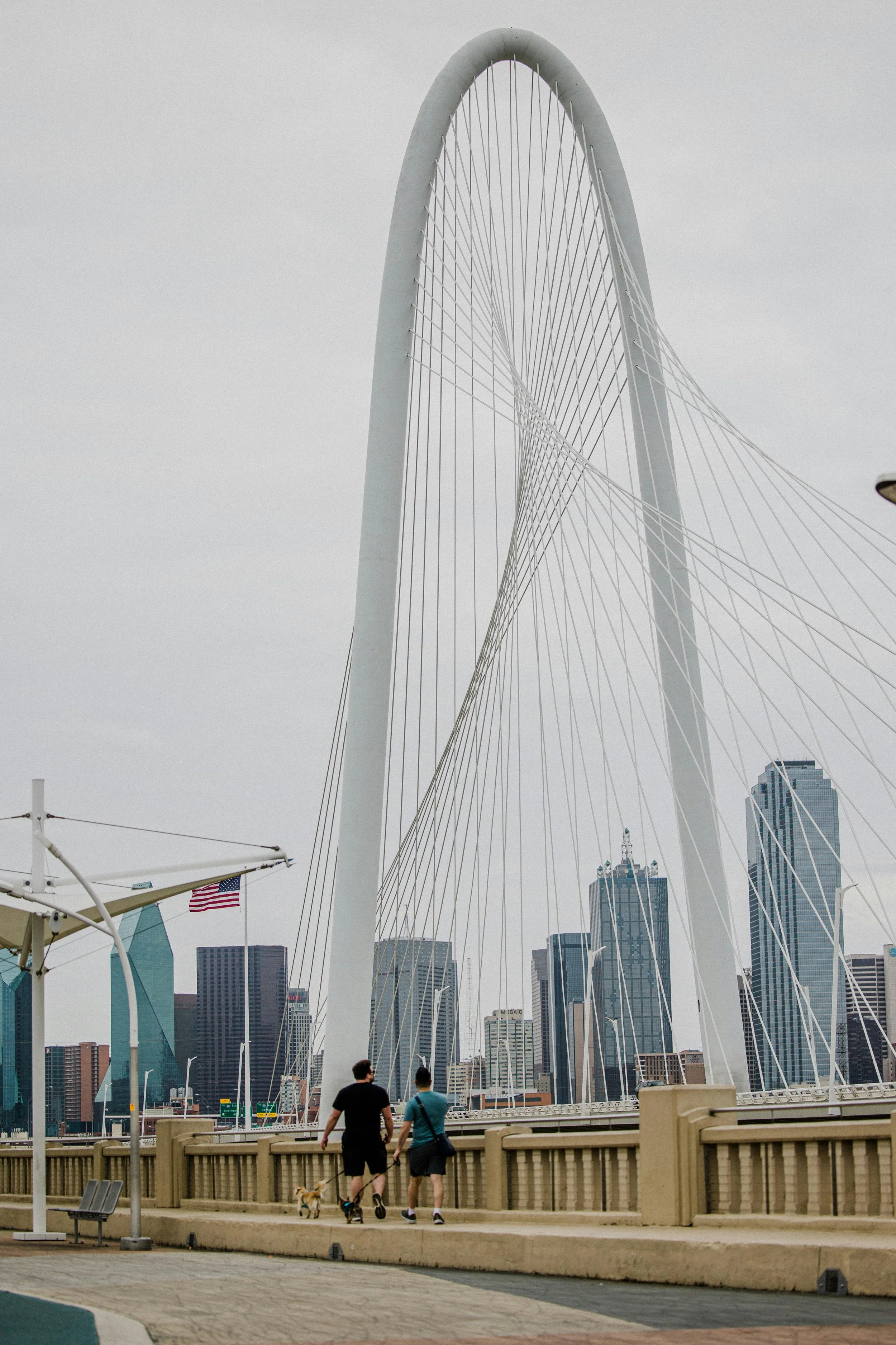 Two people walking with their dog on the Margaret Hunt Hill Bridge in front of the Dallas skyline, with a large white arch structure and cables.