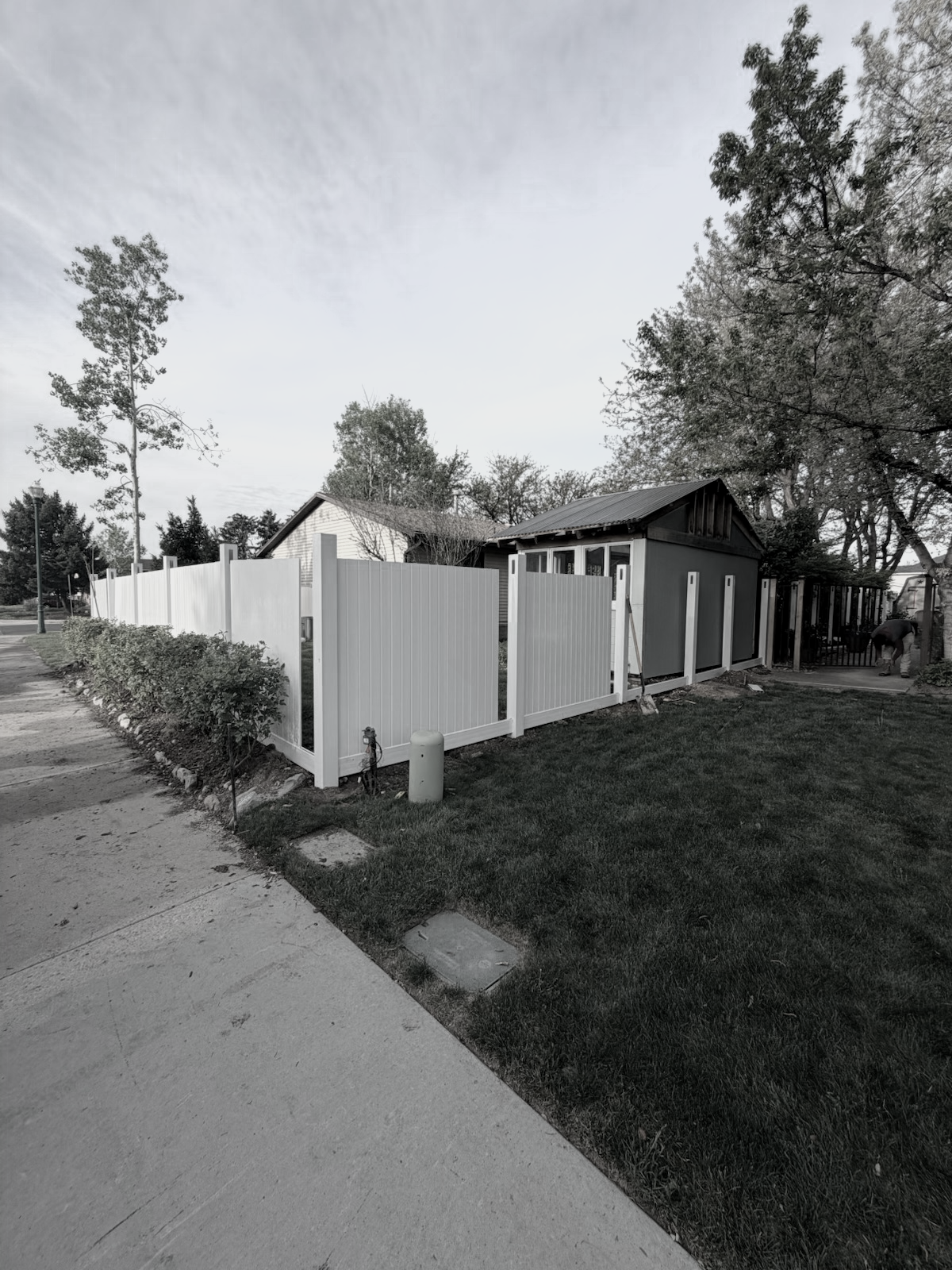 Progress Project Picture: A backyard with a part-white privacy fence, a small shed with a black roof, and trees with a cloudy sky in the background.