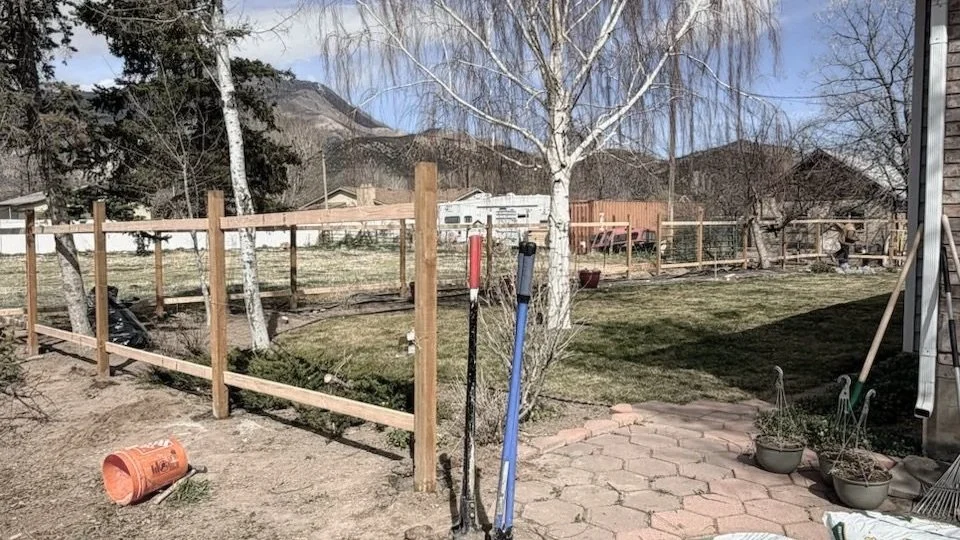 Before Picture: Old backyard with a dying fence, leafless trees, a brick patio, and gardening tools leaning against the fence.