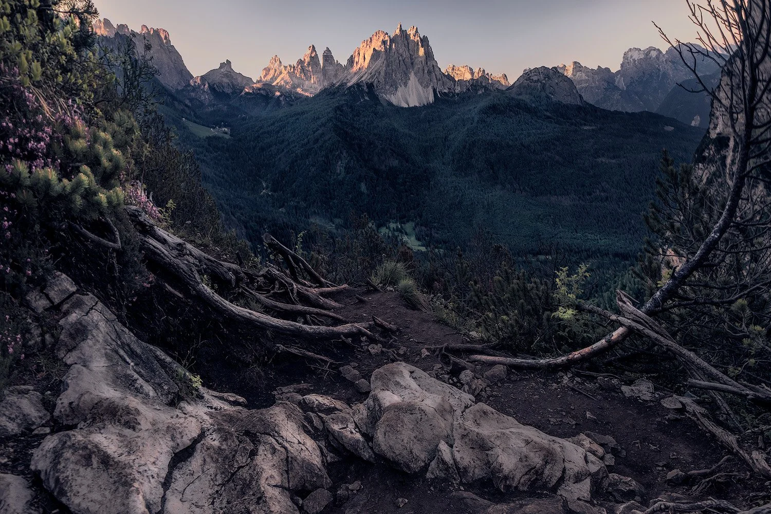Berglandschaft mit schroffen Gipfeln im Hintergrund, ein Wanderweg im Vordergrund mit Felsen und Wurzeln, umgeben von Bäumen und Pflanzen, bei Sonnenuntergang