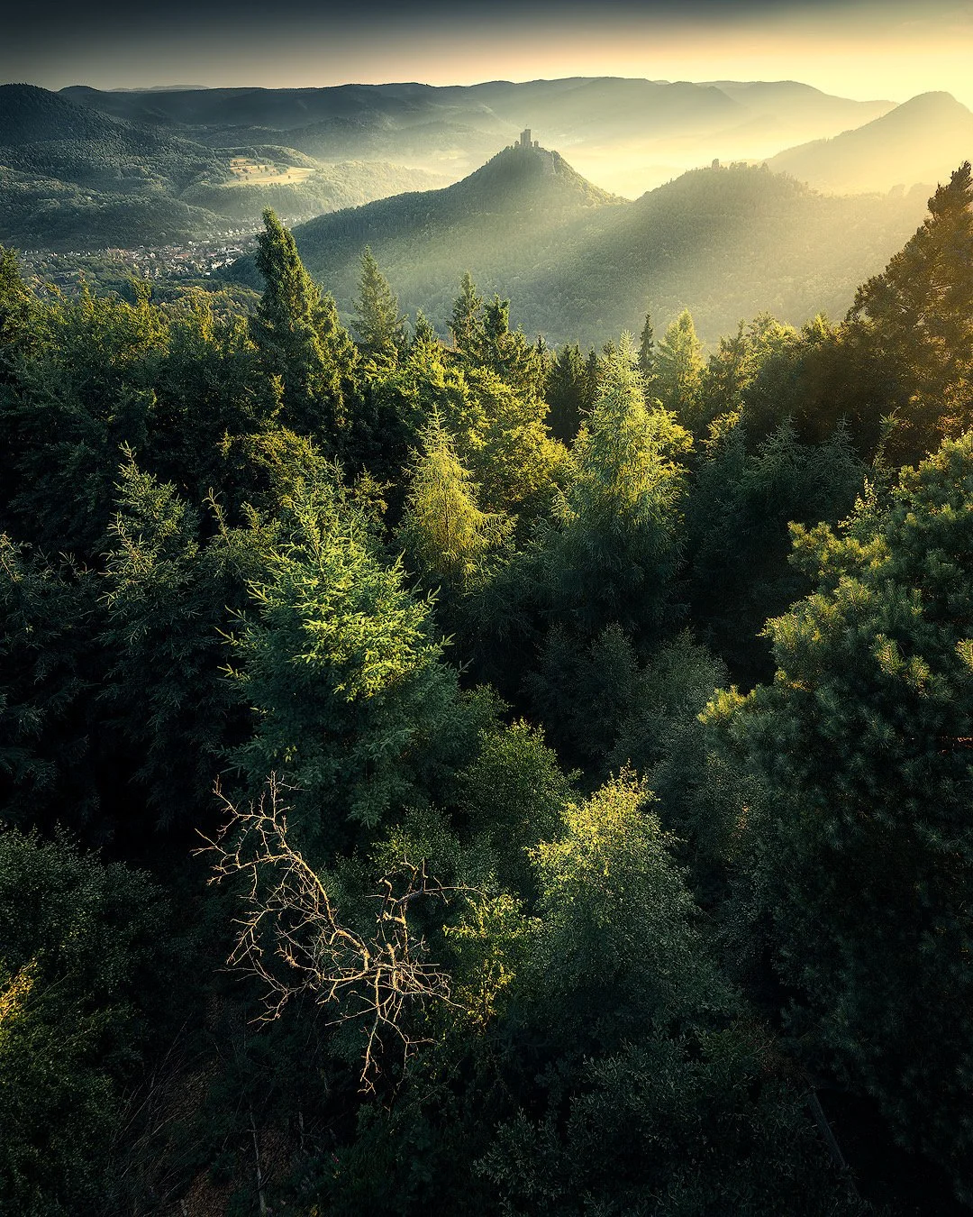 Ein ausgedentes grünes Waldgebiet in den Bergen mit einem Turm auf einem Hügel im Hintergrund, bei Sonnenaufgang oder Sonnenuntergang.