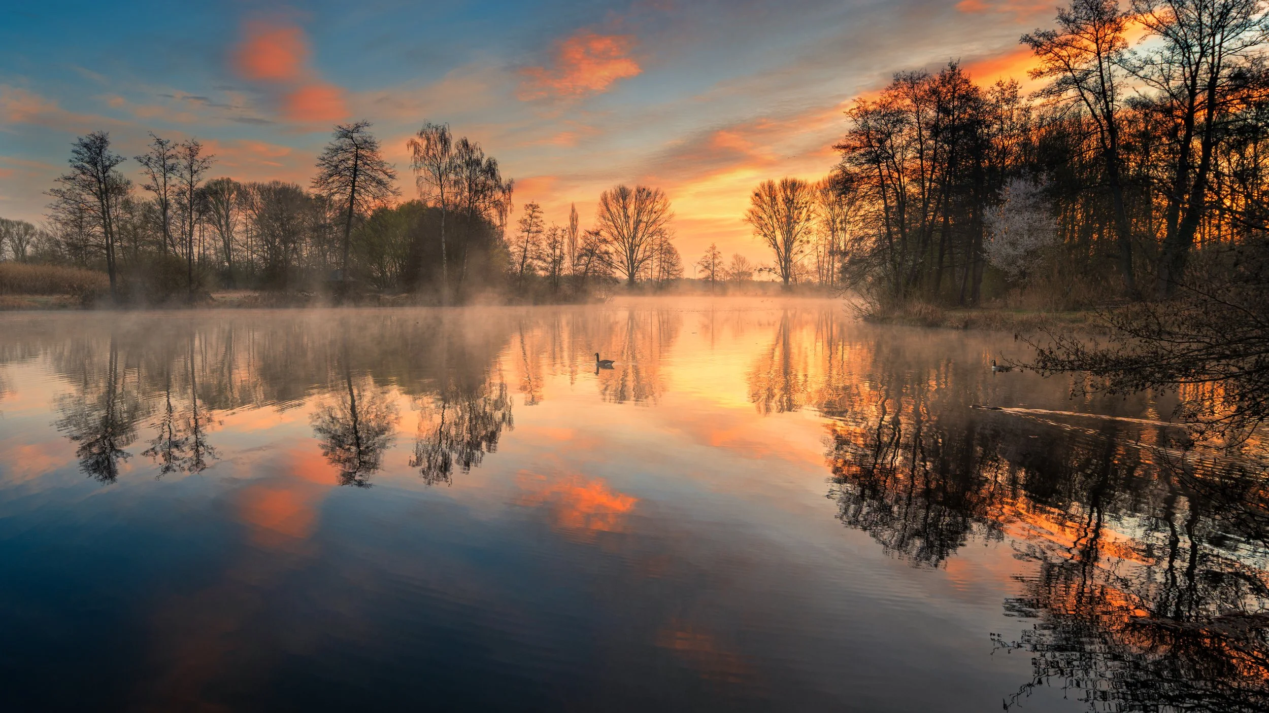 Ein ruhiger Fluss bei Sonnenaufgang, umgeben von Bäumen, mit Nebel auf dem Wasser und einem einzigen Entenstil, der über die Wasseroberfläche schwimmt, mit farbenfrohem Himmel im Hintergrund.