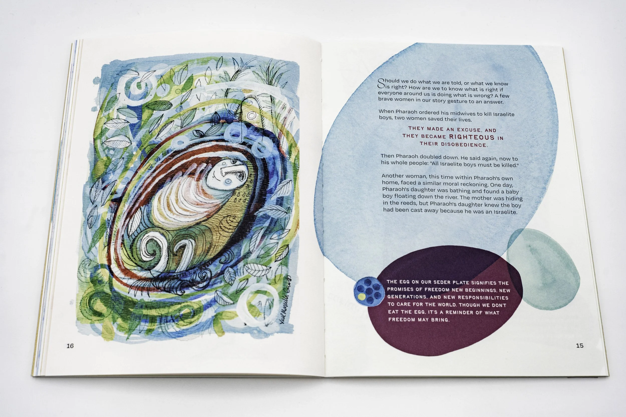 Open illustrated book showing a colorful drawing of baby Moses in a nest surrounded by leaves and swirls on the left page. It's part of a new concise, modern and engaging Haggadah telling the exodus story