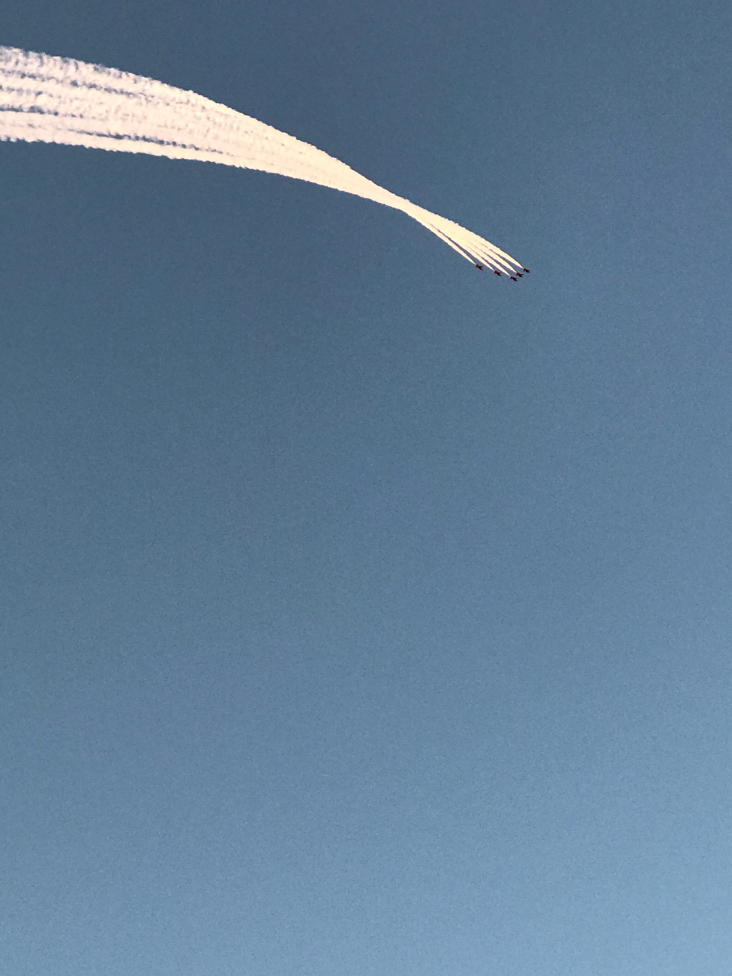 IMG_0145.png