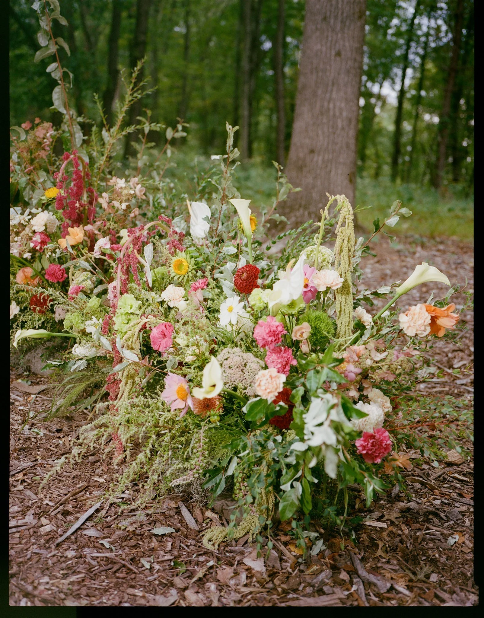 A floral arrangement placed on the ground in a forest, consisting of various flowers including daisies, roses, calla lilies, and greenery. The background shows a wooded area with trees and a dirt or mulch forest floor.