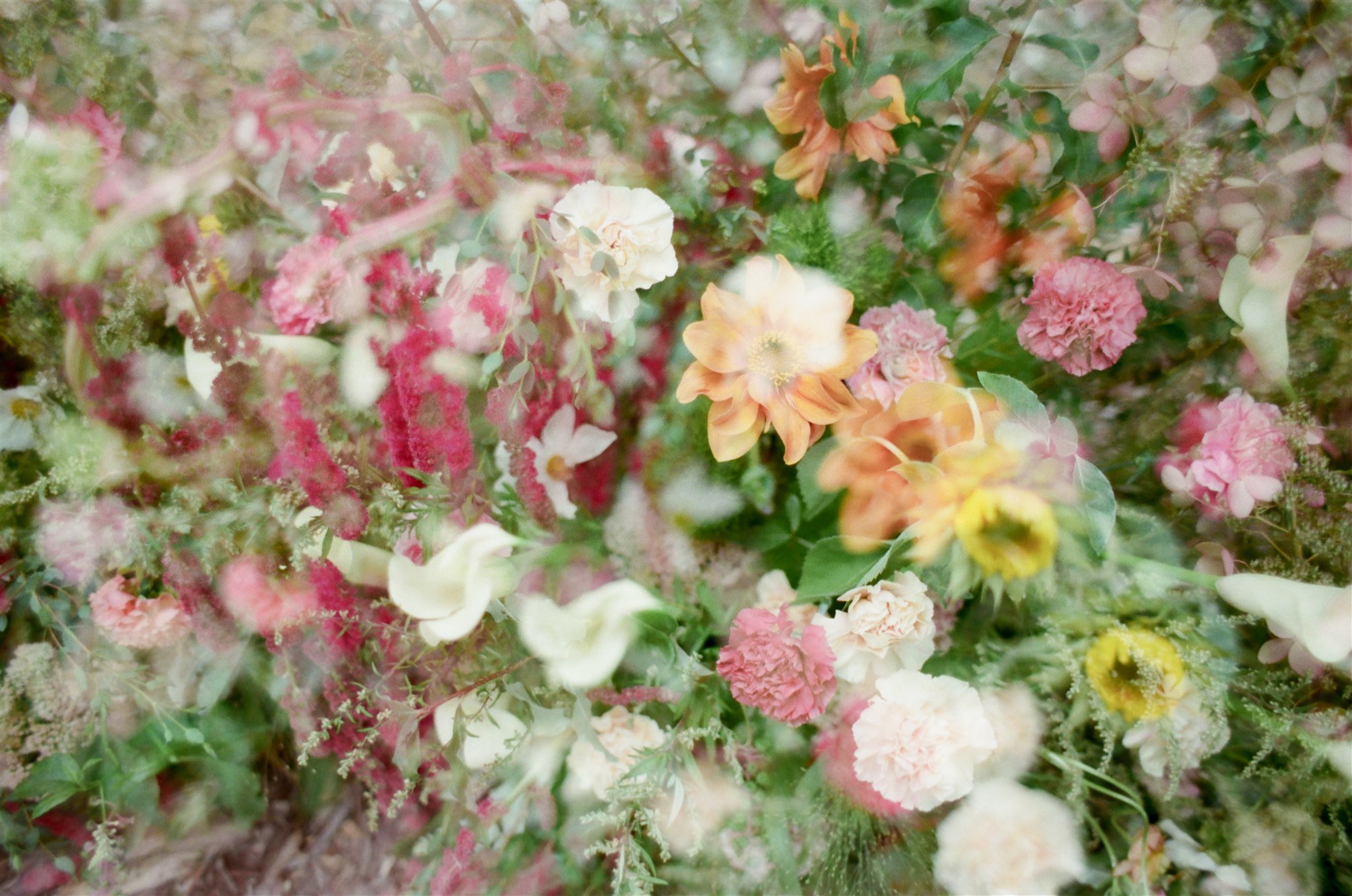 A dense arrangement of various small flowers in shades of pink, peach, white, and yellow with green foliage.
