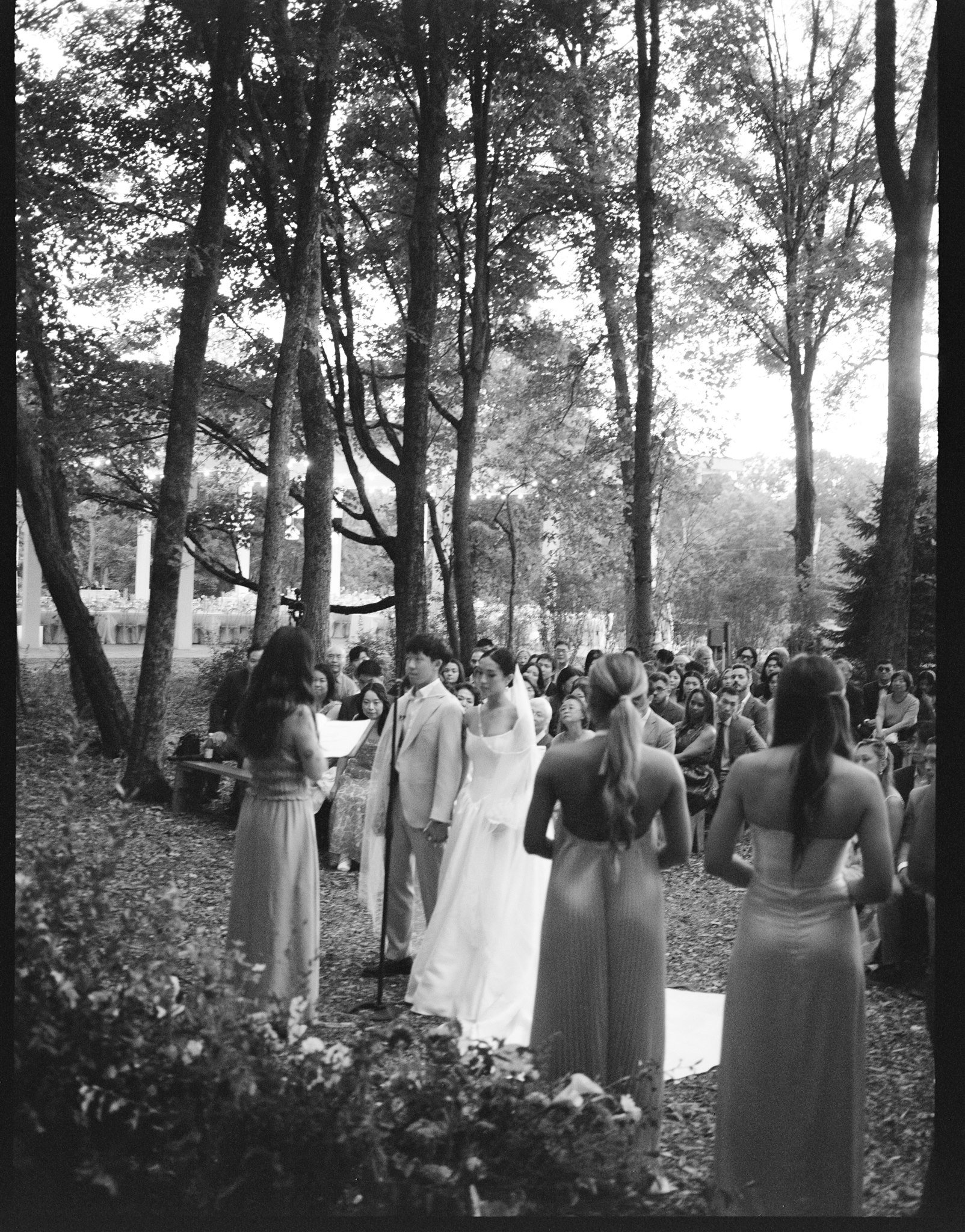 Film-115.jpg