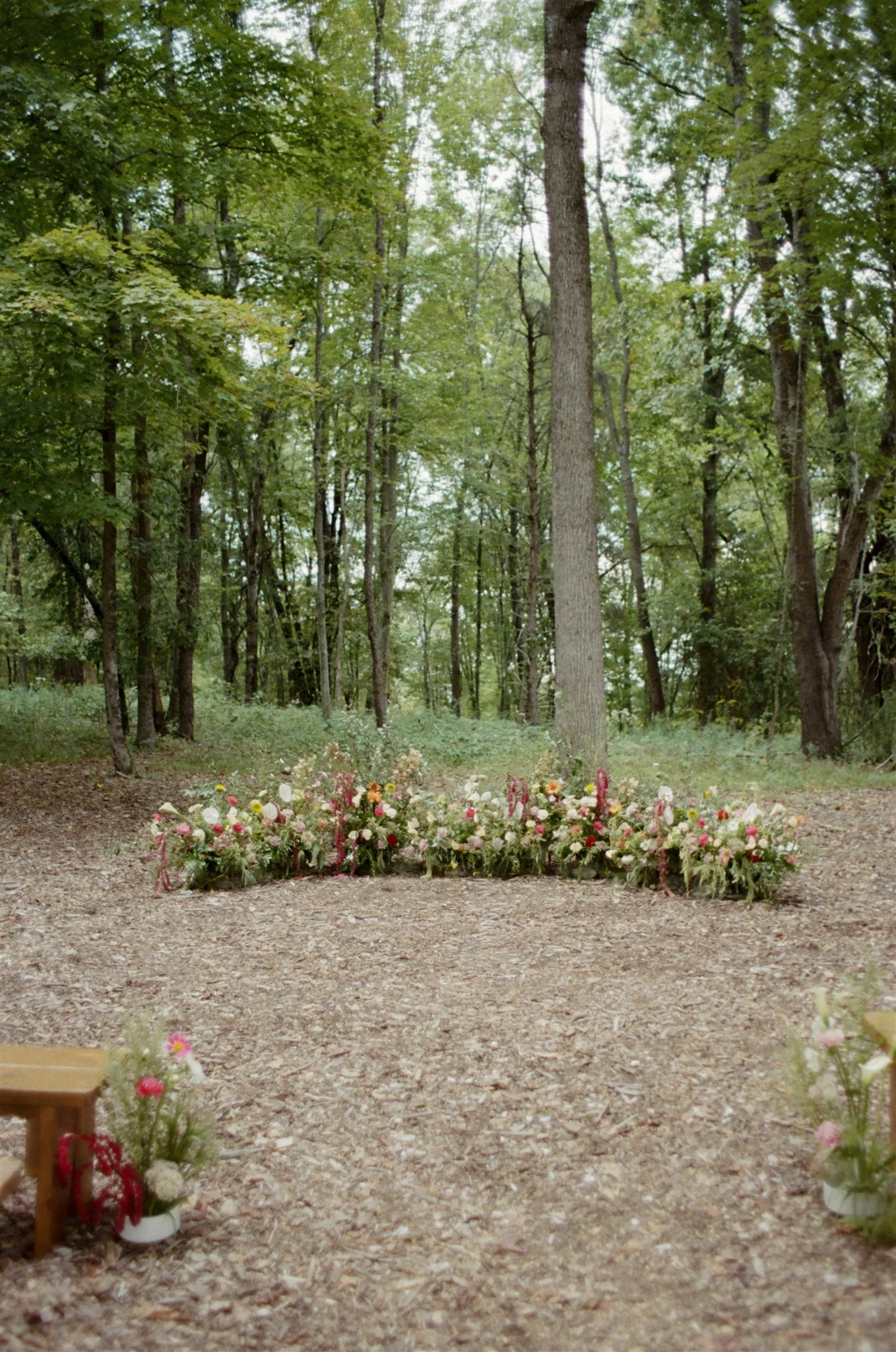 A forest with tall trees and green foliage, decorated with flowers in white pitchers on the ground.