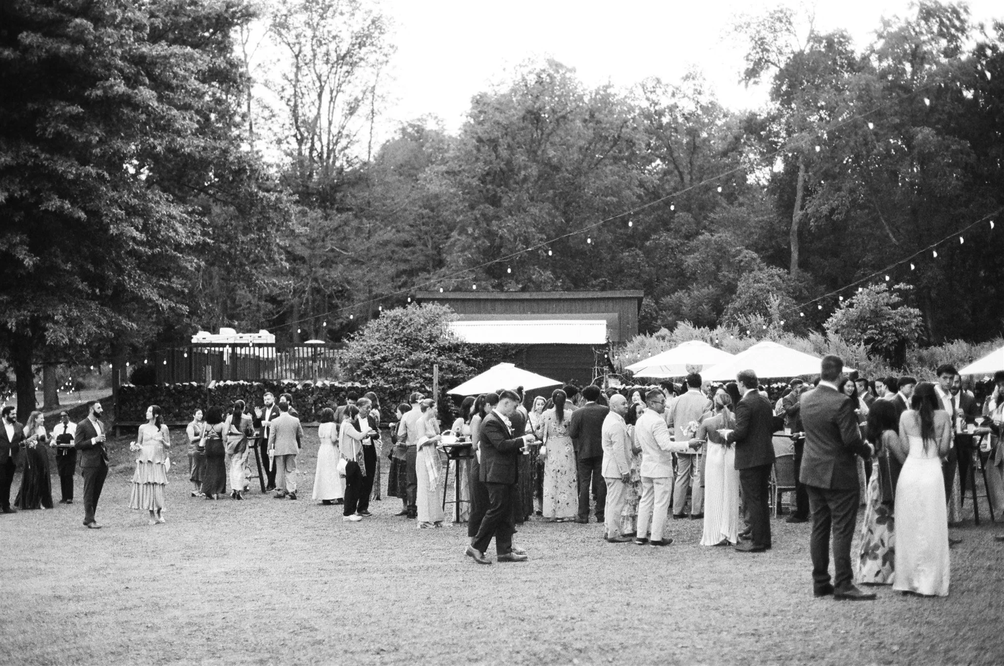 People gathered outdoors at a social event with trees and string lights overhead.