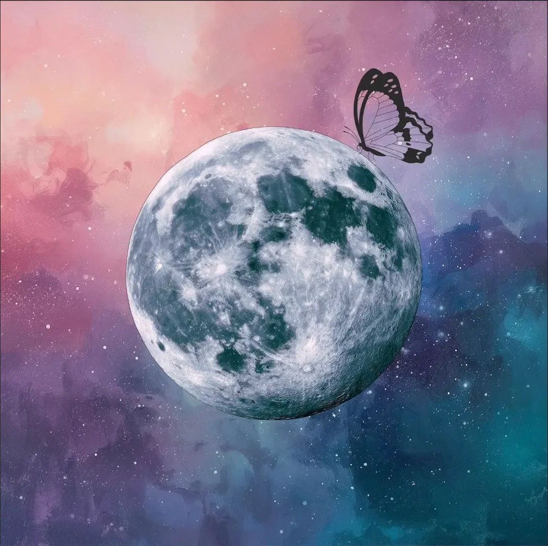 New Moon: The Quiet Work of Beginning Again