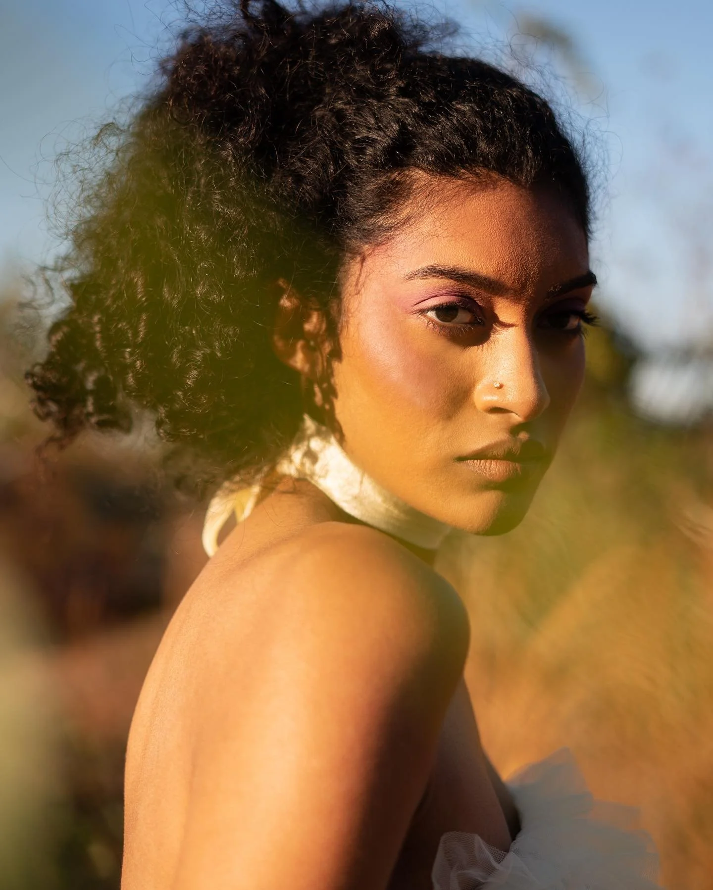 fields savmstudios2.jpg