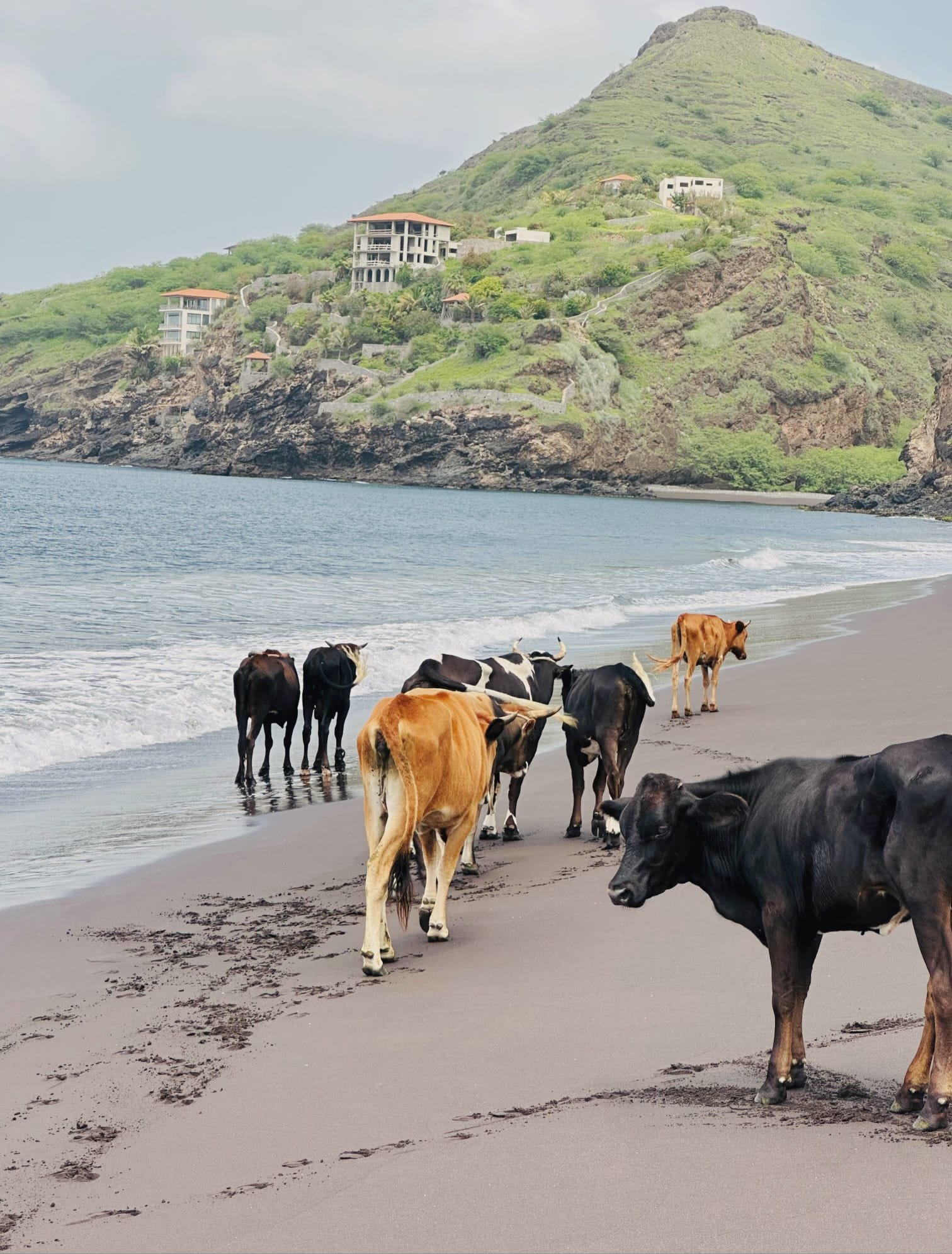 Vakantie Kaapverdië plannen? Santiago is de beste mix om Kaapverdië écht te proeven