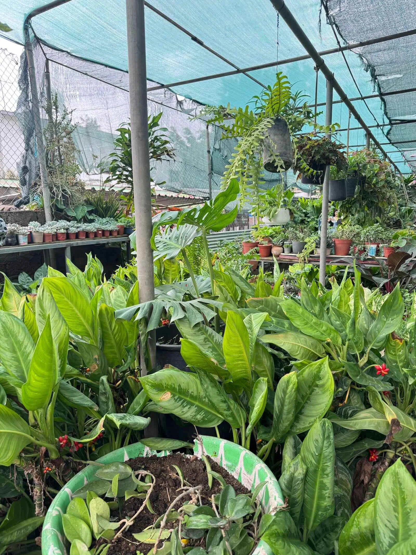 São Domingos: Ecologisch en avontuurlijk