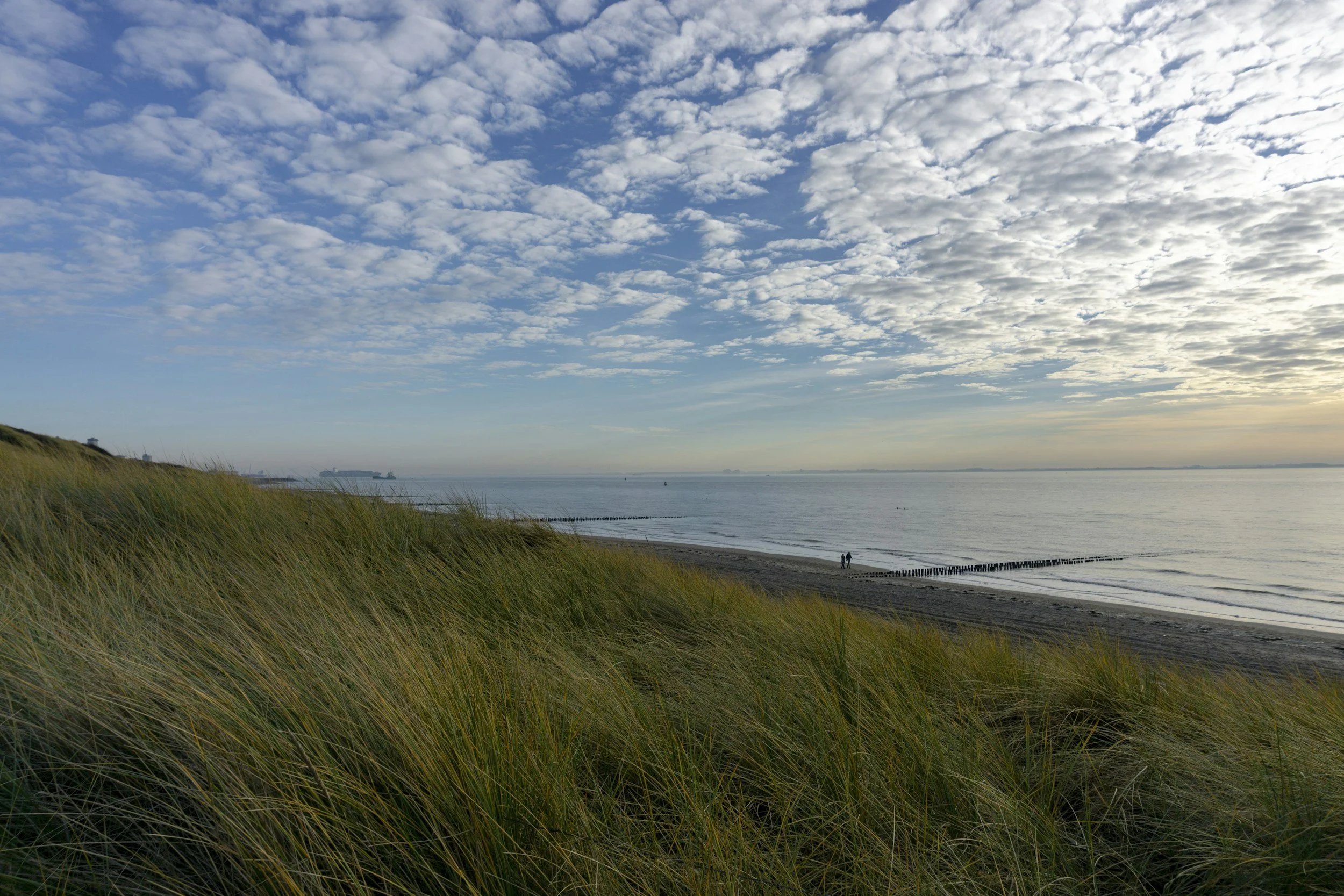 Two silhouetted figures walking near tall grass, sand, and the ocean, calming visual for parent-child therapy sessions