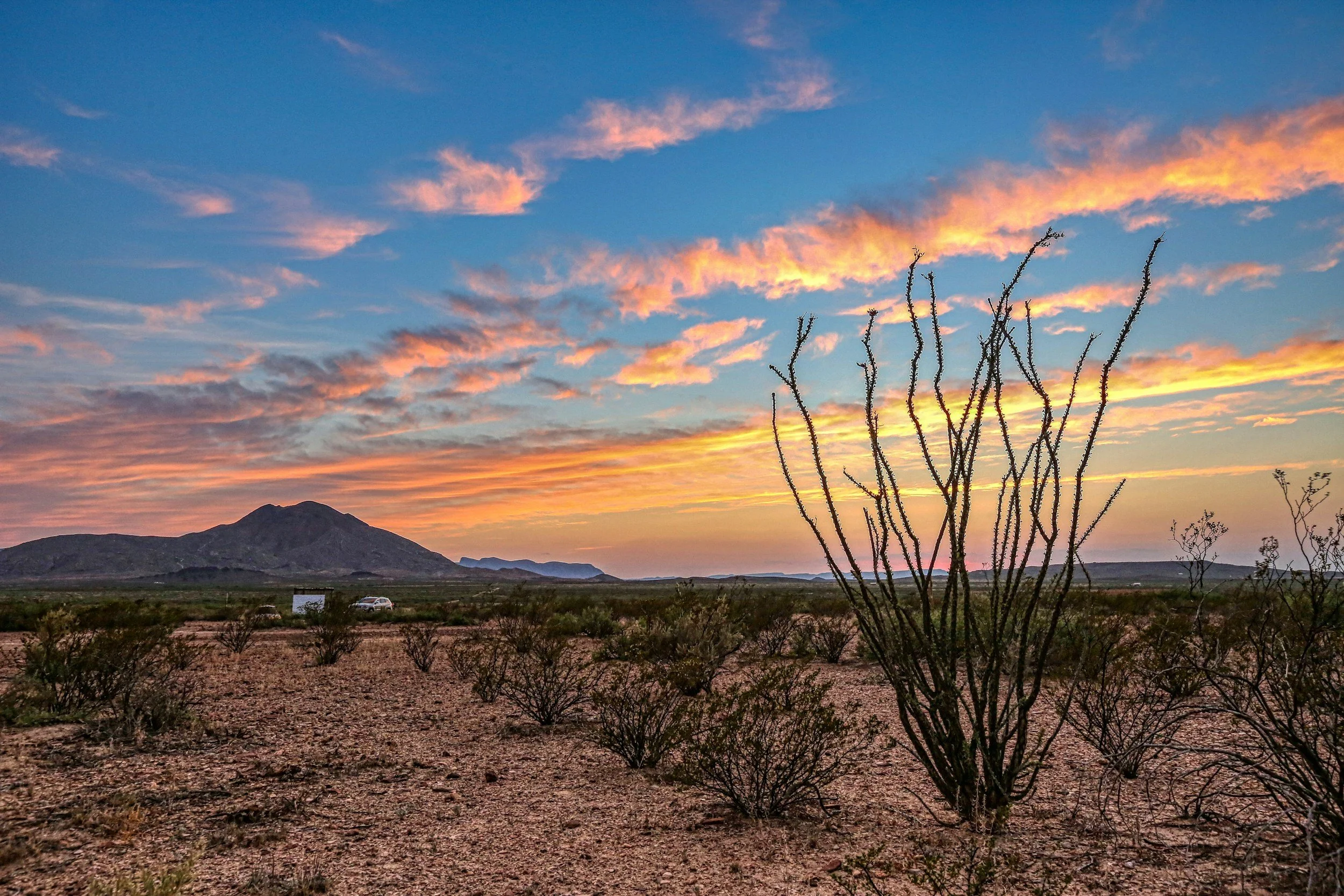 A sunset over a desert landscape with a cactus and mountains in the background.