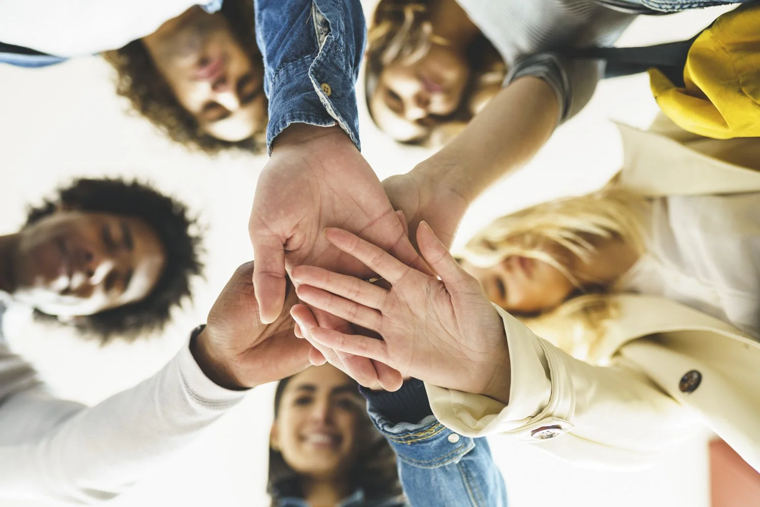 TEP Professional training collaborative hands