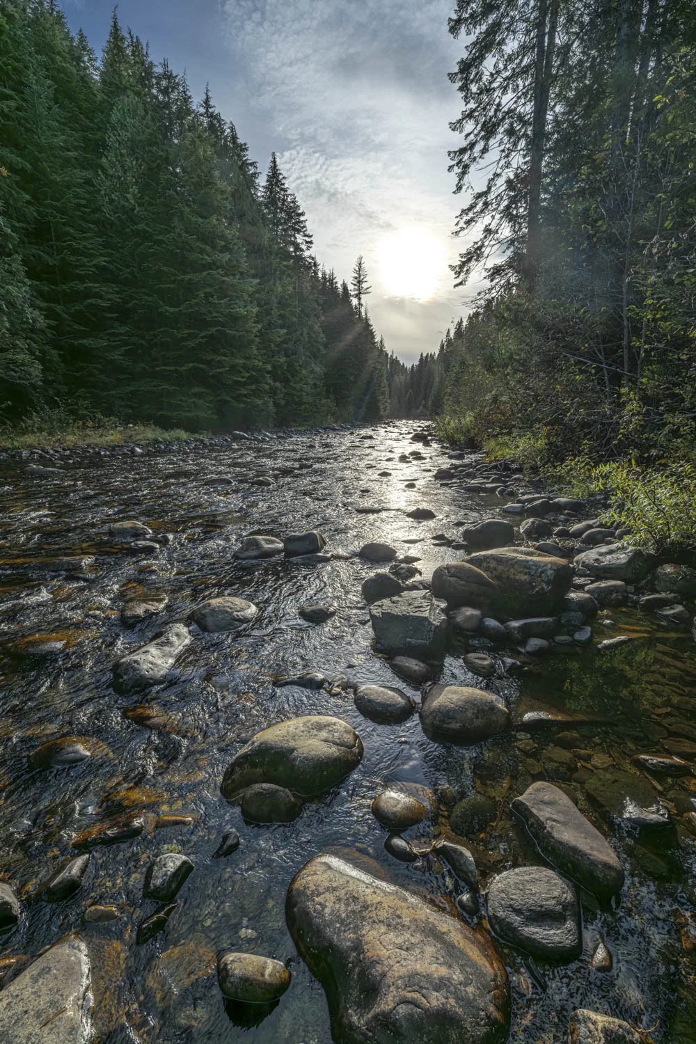 A rocky river flowing through a dense green forest with tall pine trees, under a partly cloudy sky with the sun shining through.