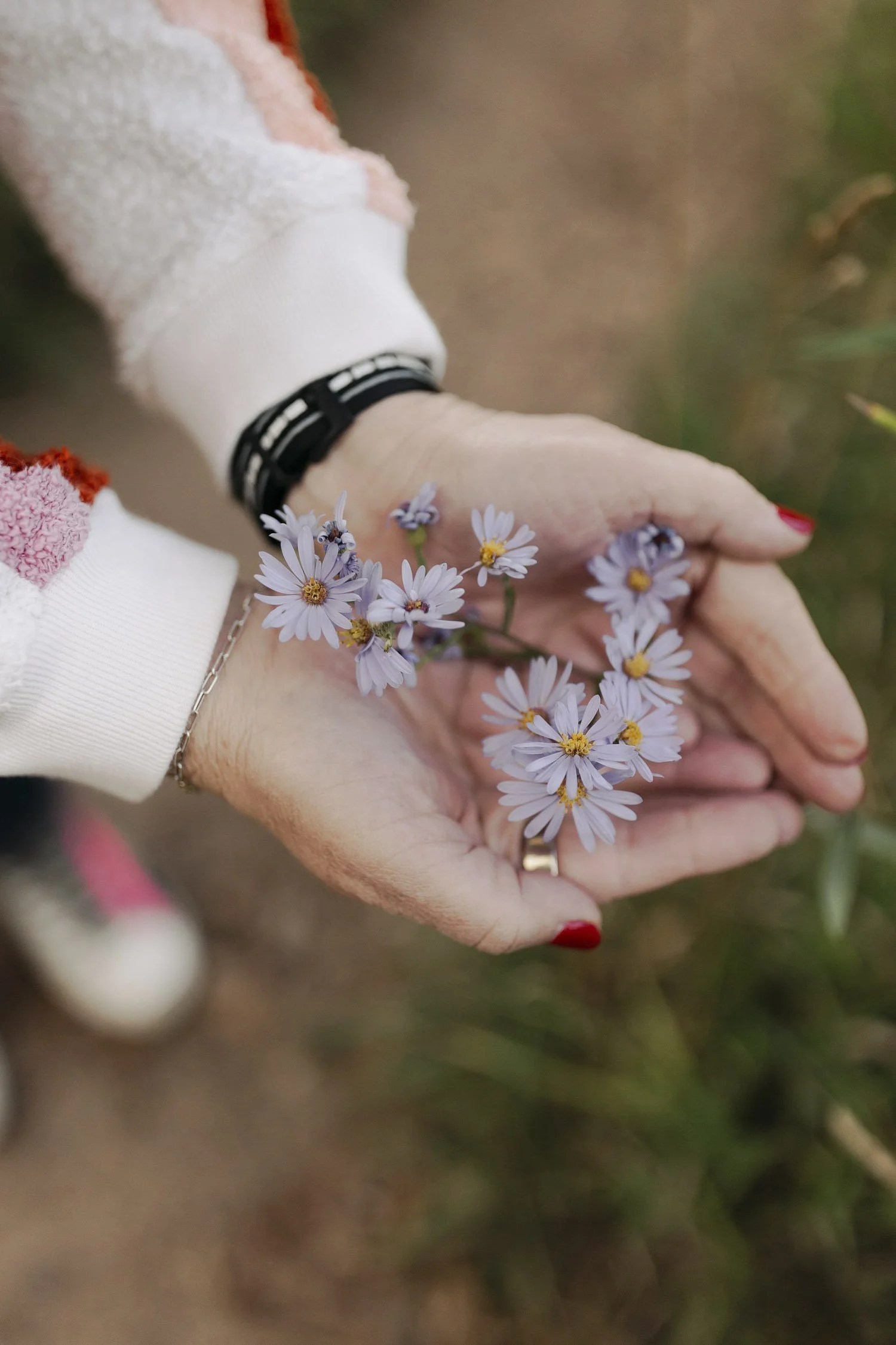 Close-up of a person's hands holding small purple daisies with yellow centers, wearing a white long-sleeve shirt, black bracelet, and a silver ring, with a blurred outdoor background.