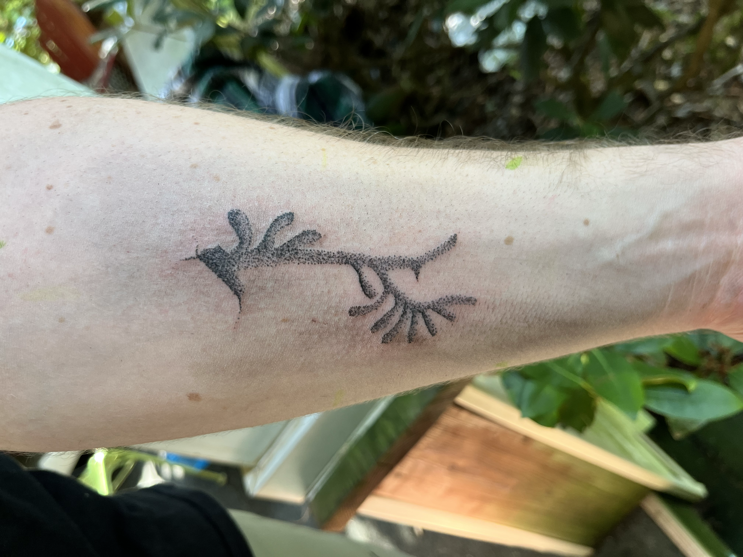 Custom Hand Poked Tattoo Cincinnati Ohio 