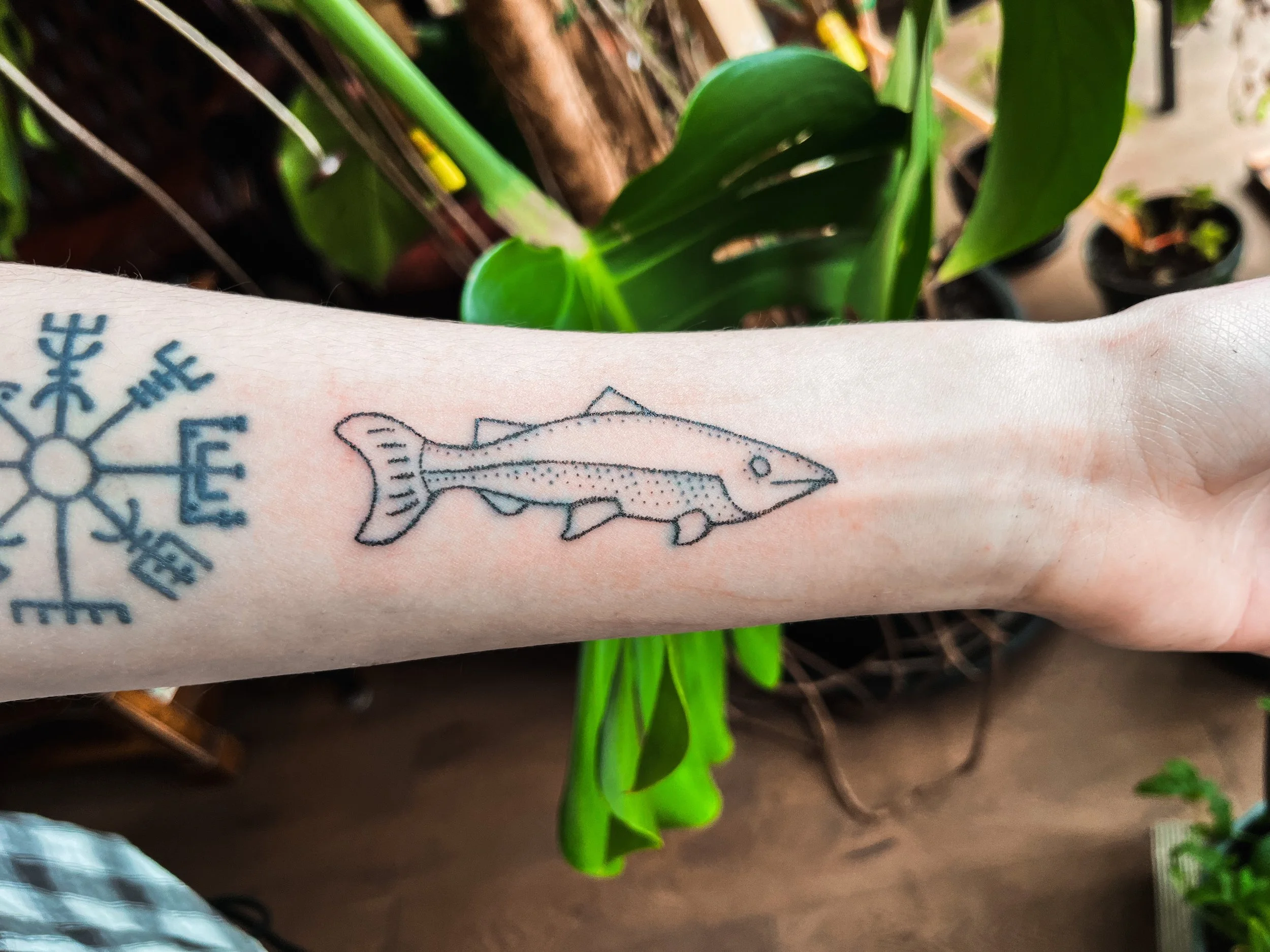 Hand Poked Traditional Tattoo in Cincinnati Ohio done at Stag and Castle in Mt Lookout of a Pictish Fish from Scottish History 