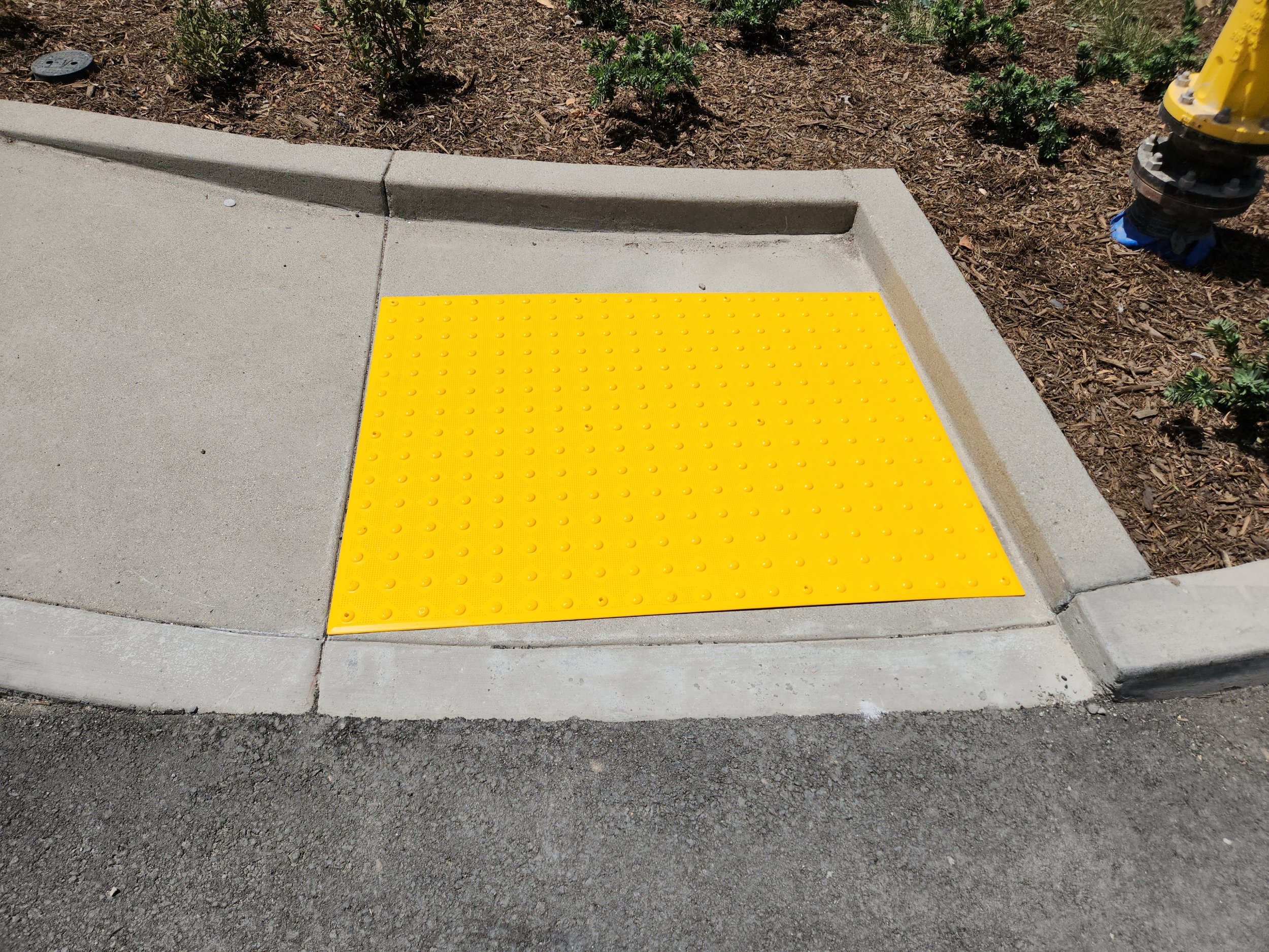 Yellow tactile paving on a concrete sidewalk curb, with a flower bed and a fire hydrant nearby.